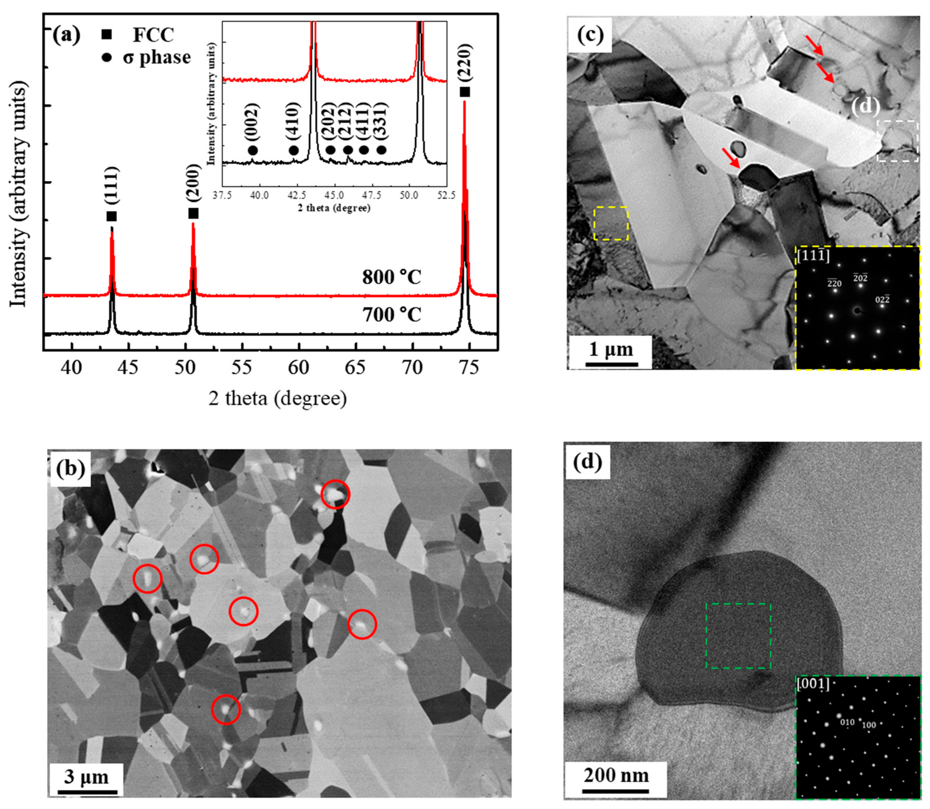 Materials 17 01265 g001