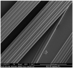 Materials 17 01268 i004