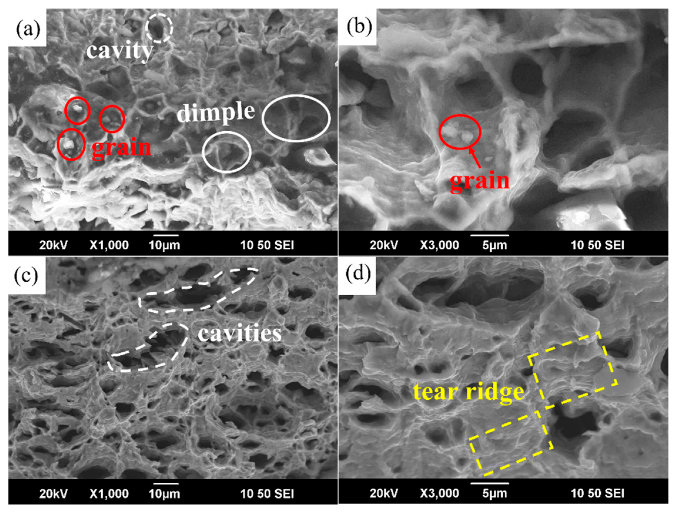 Materials 17 01282 g008