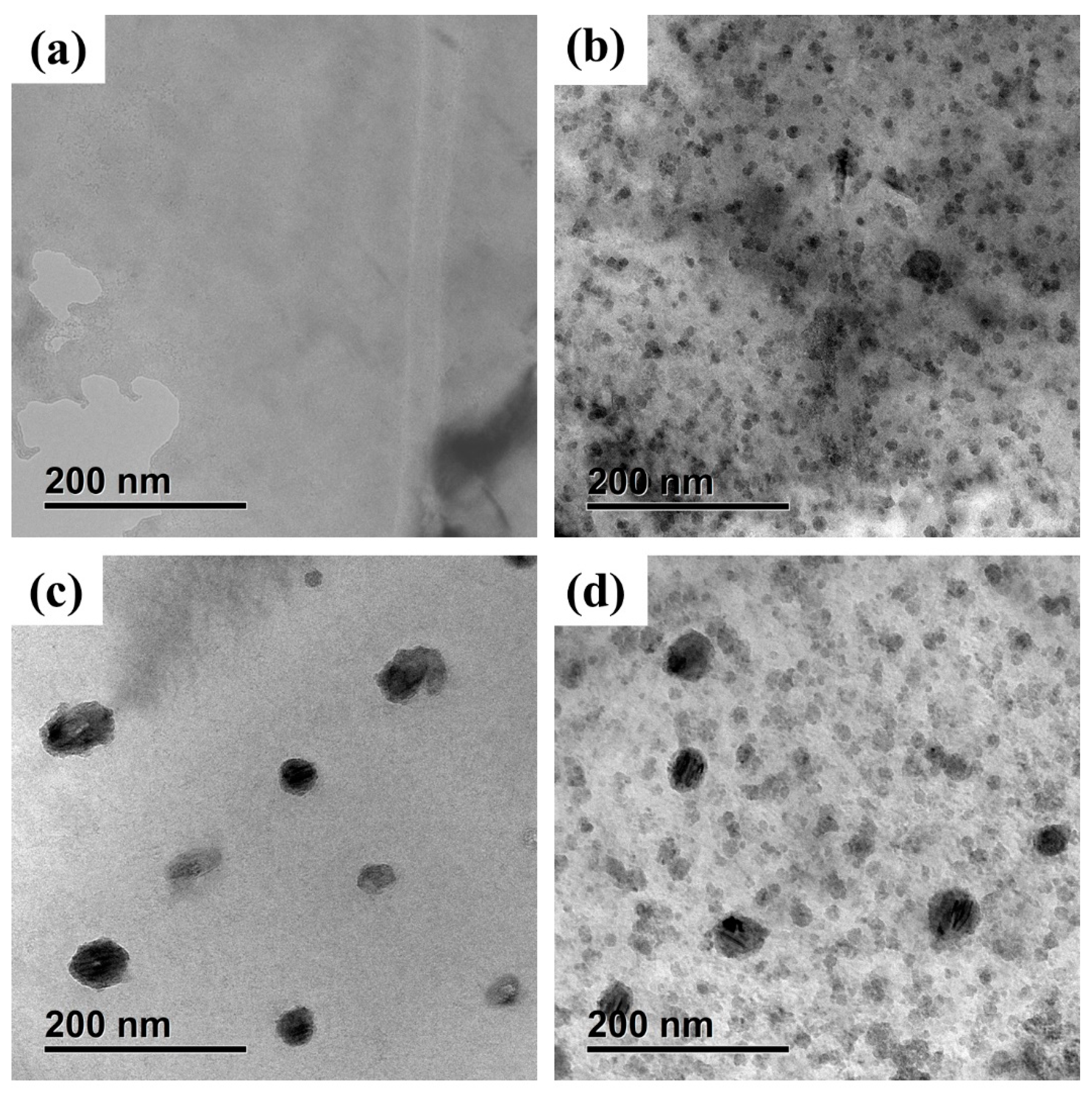 Materials 17 01287 g007