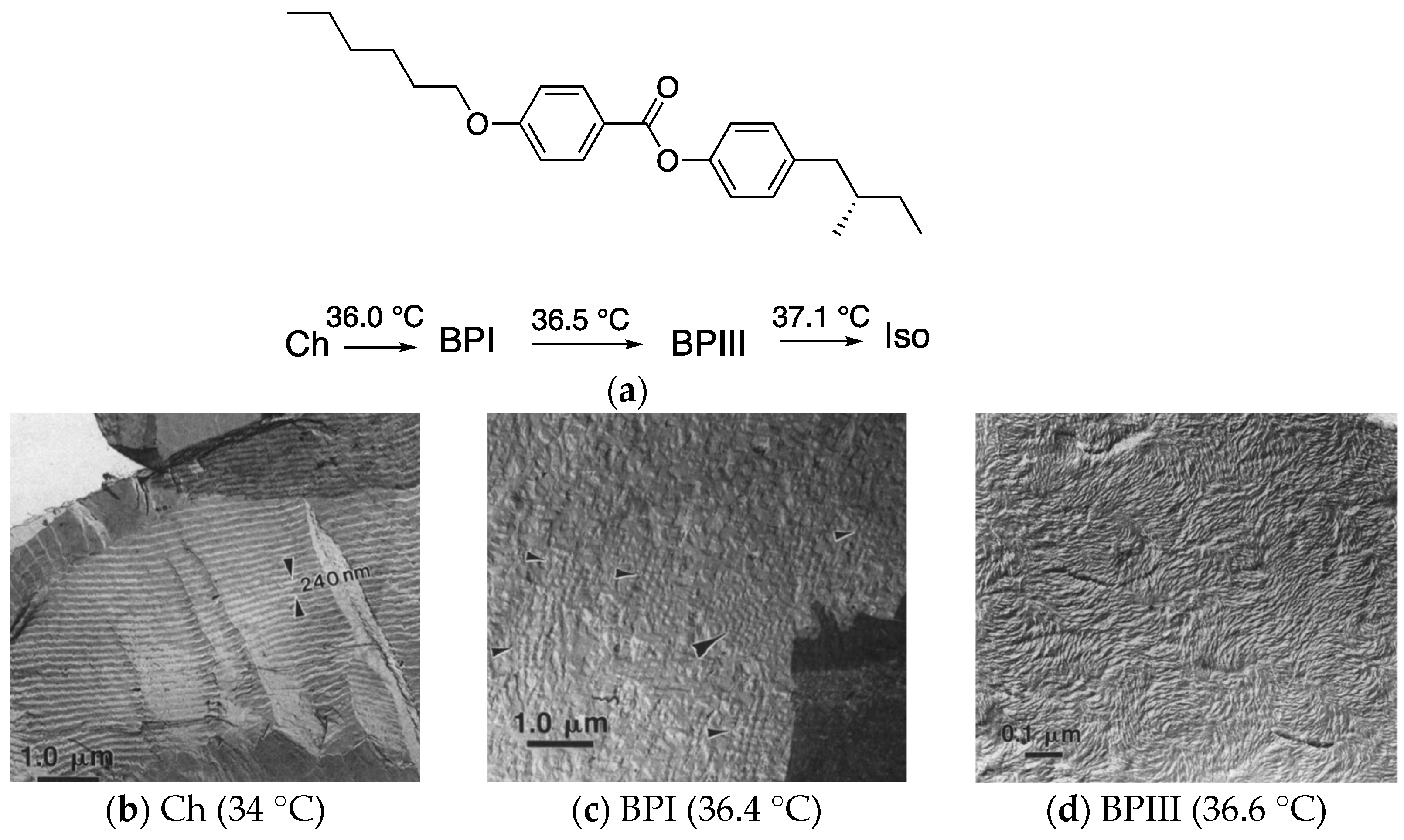 Materials 17 01291 g003