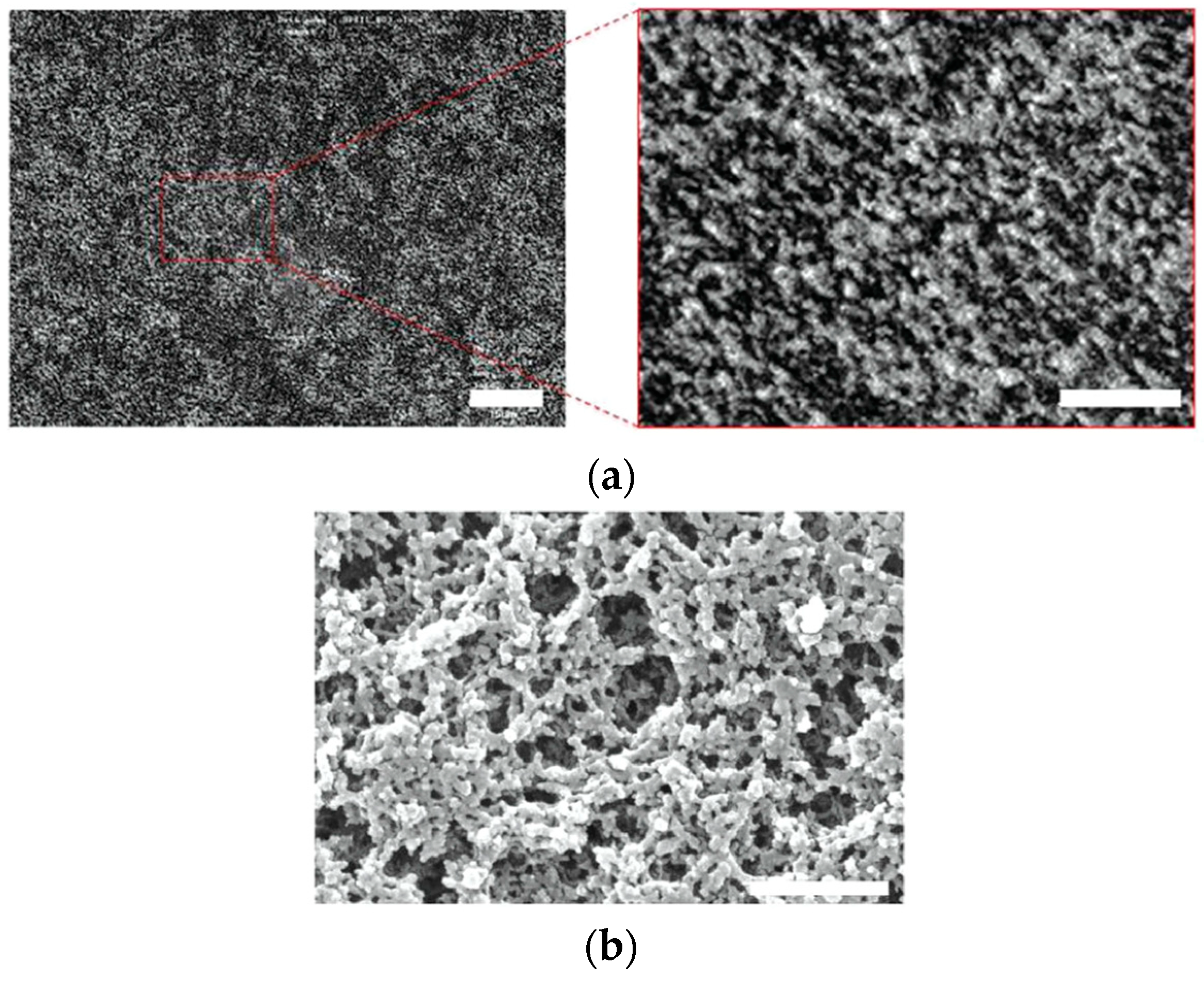 Materials 17 01291 g007