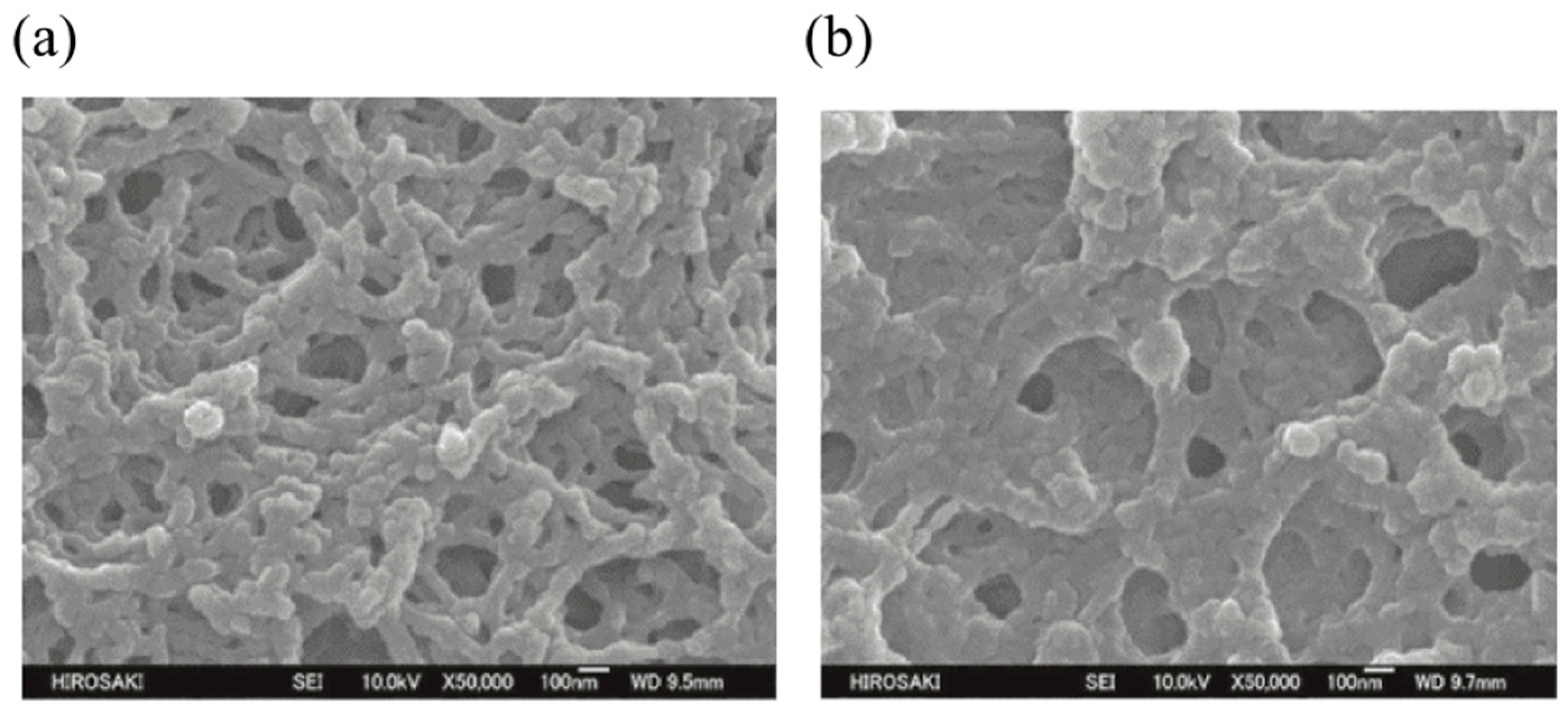 Materials 17 01291 g009