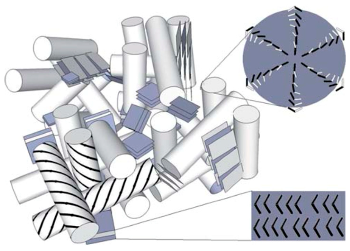 Materials 17 01291 g019