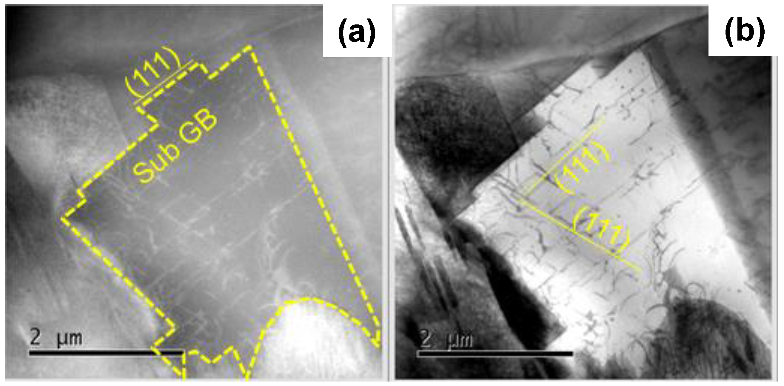 Materials 17 01294 g008