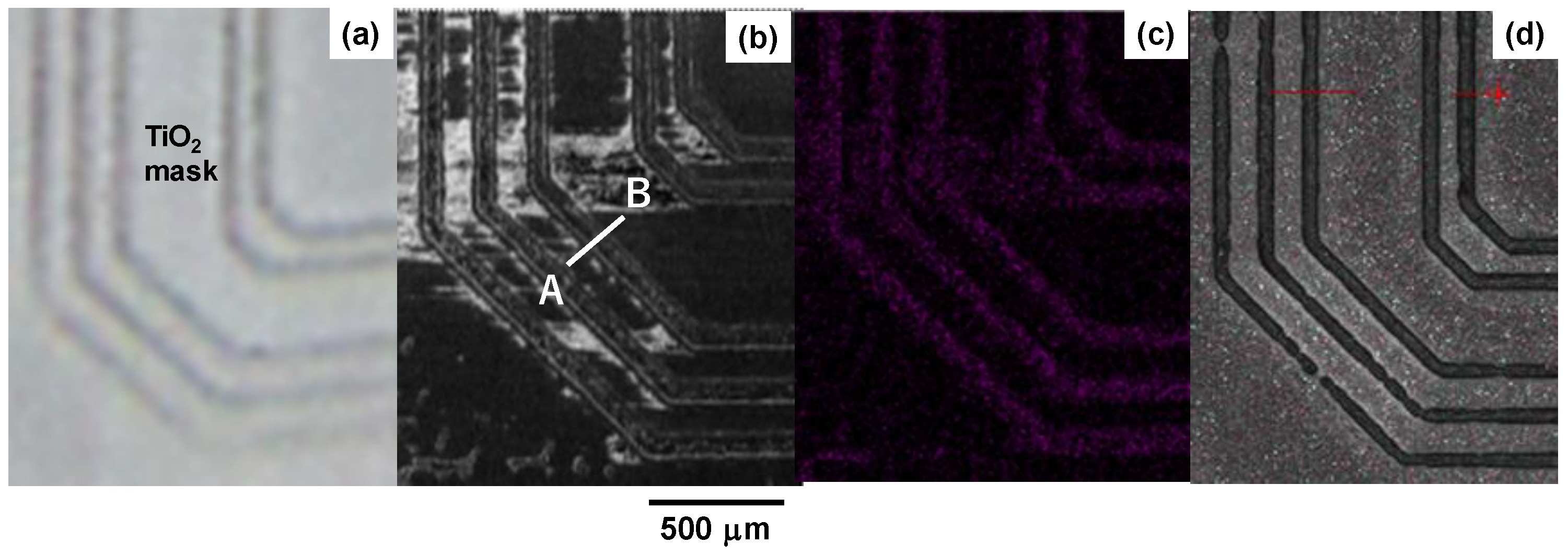 Materials 17 01294 g012
