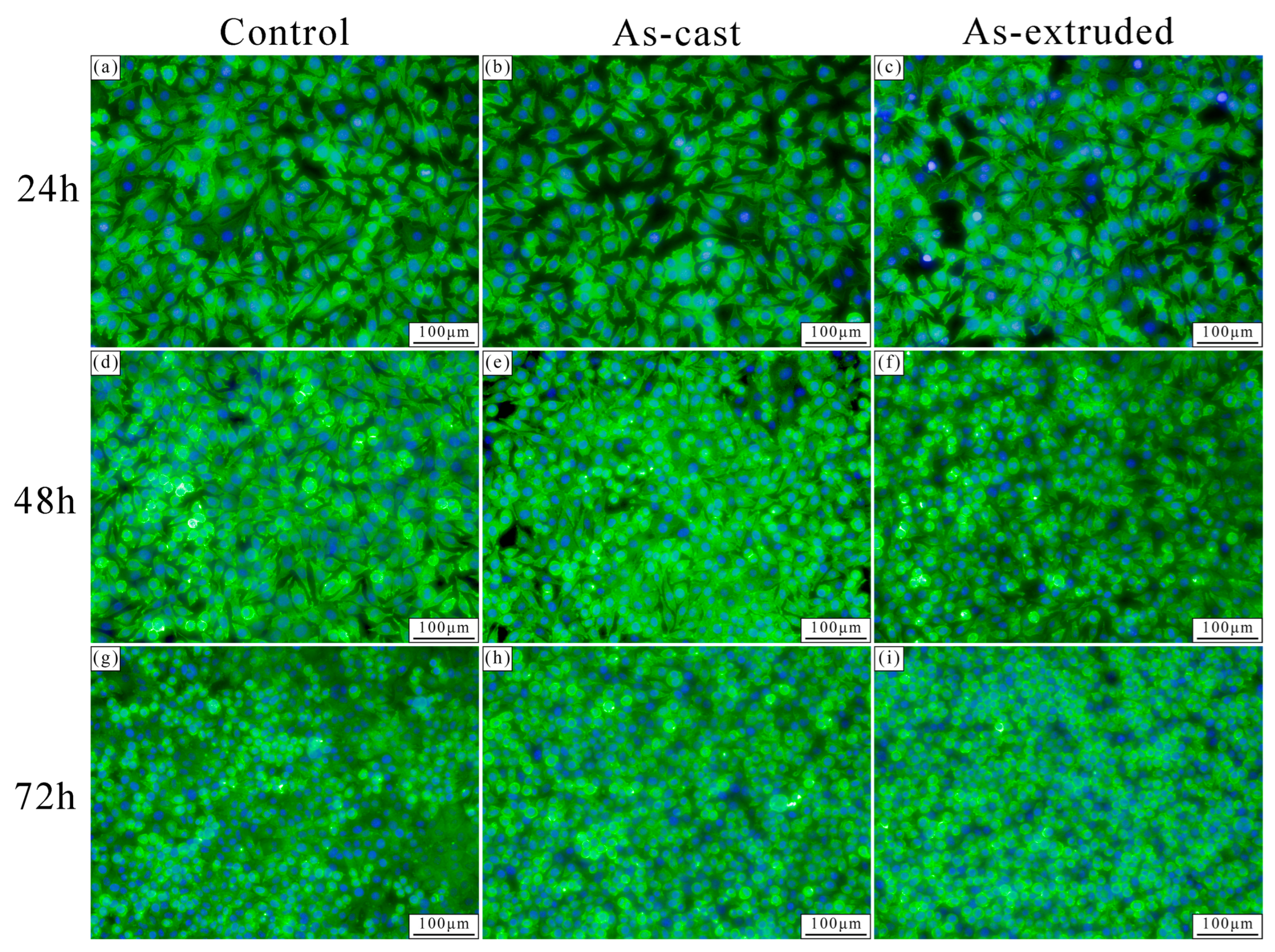 Materials 17 01297 g011