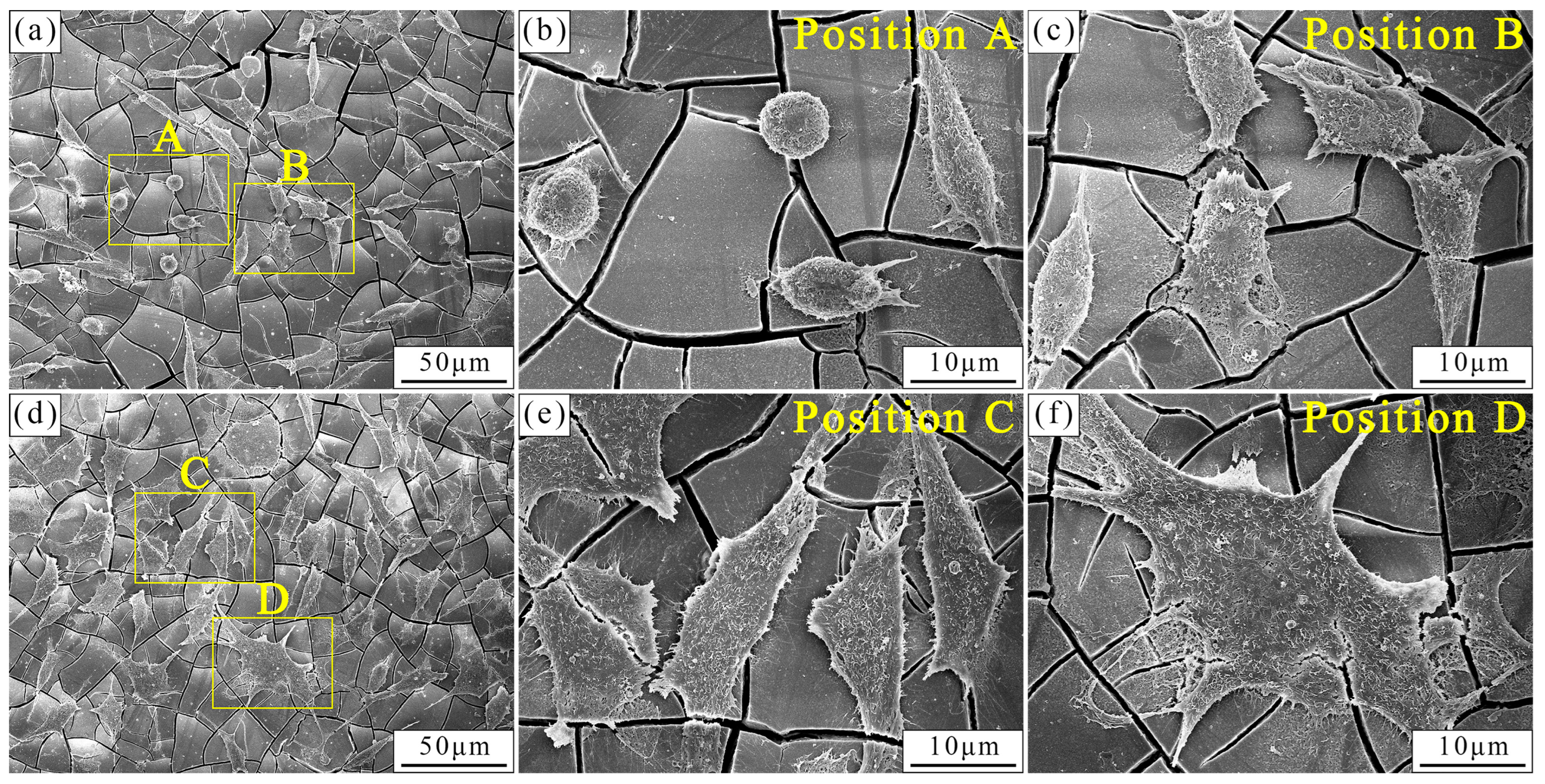 Materials 17 01297 g013