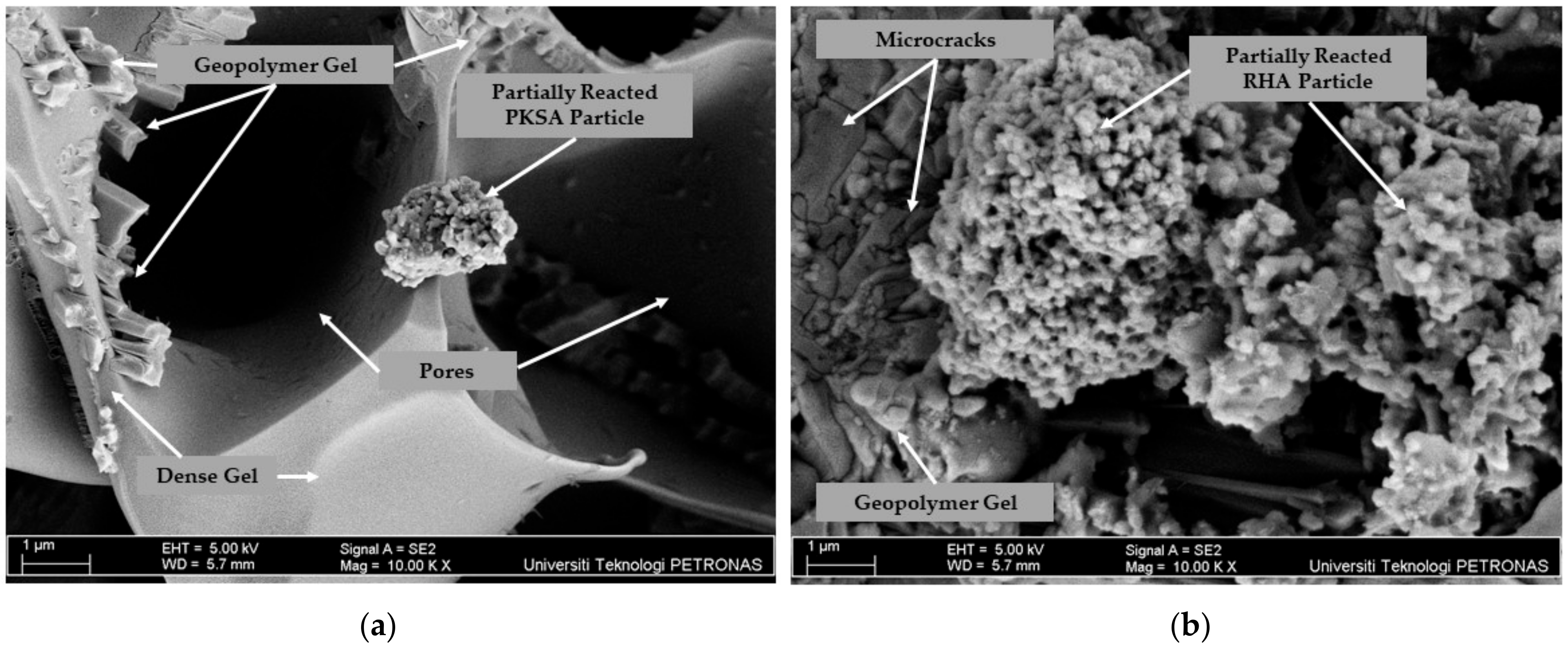 Materials 17 01298 g012