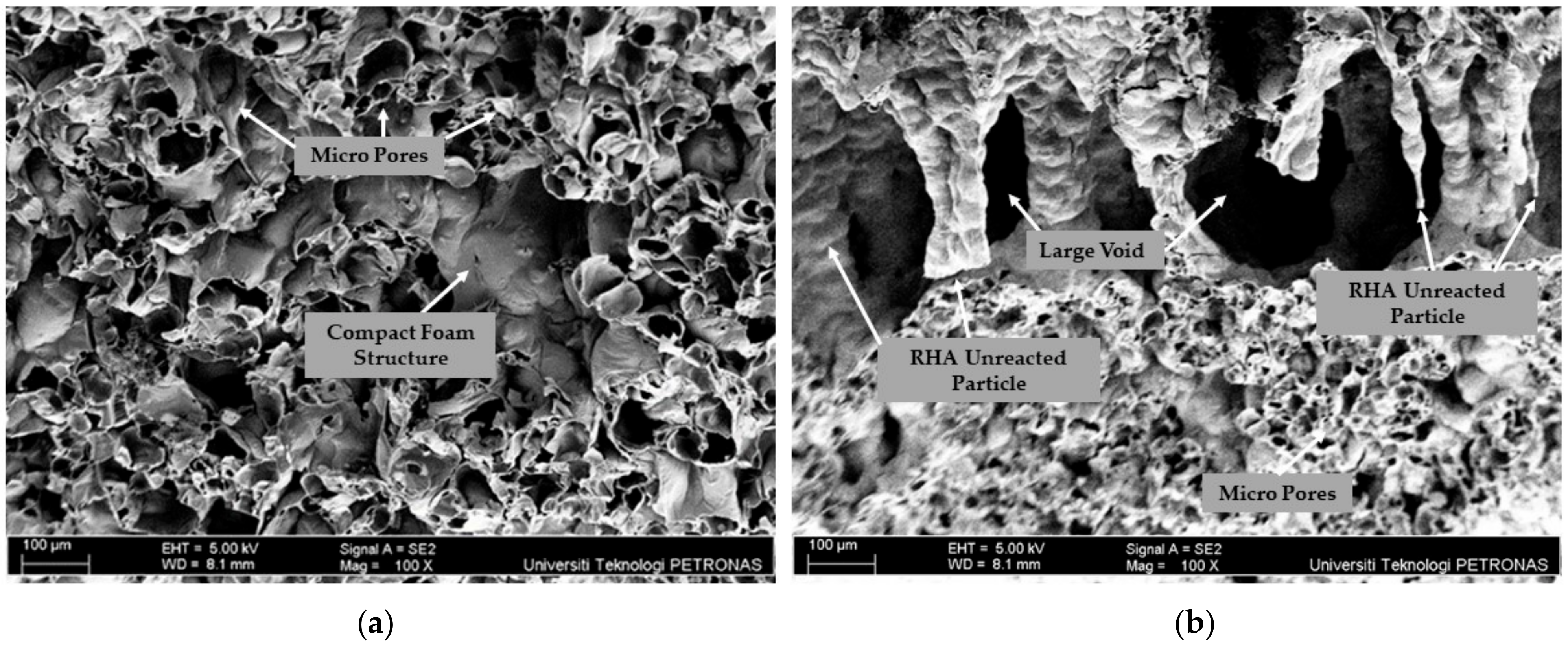 Materials 17 01298 g013