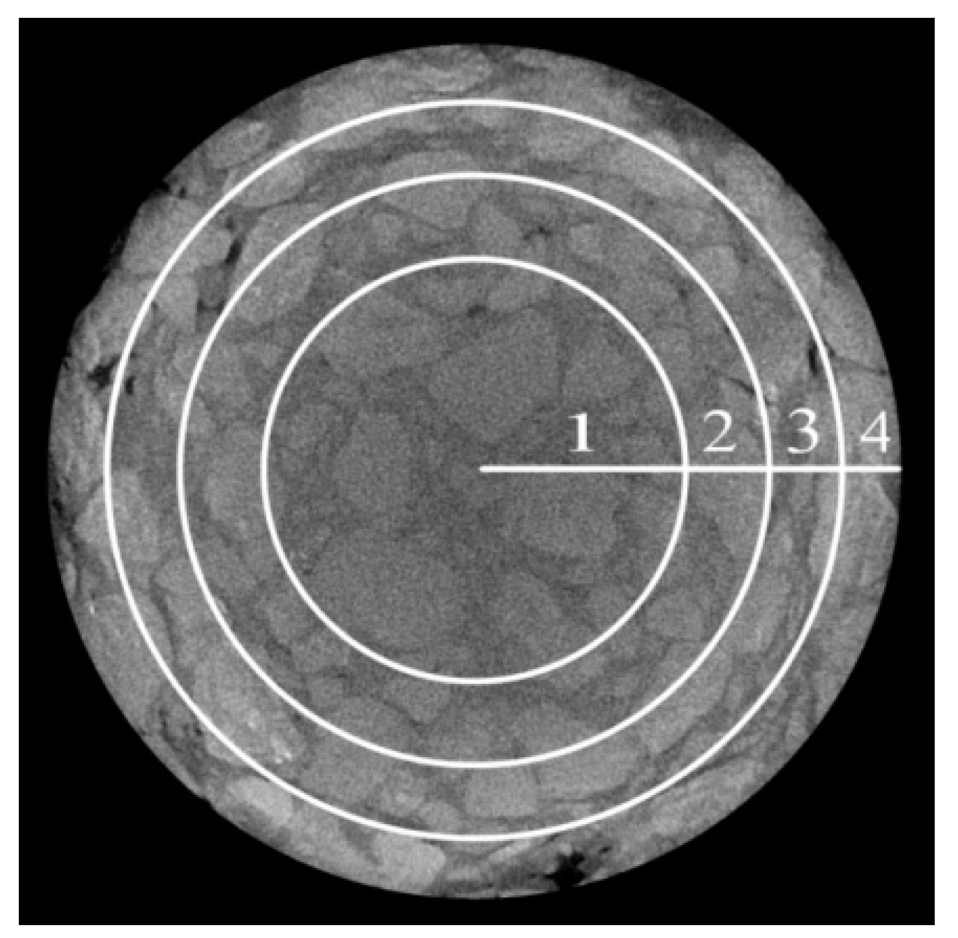 Materials 17 01304 g014