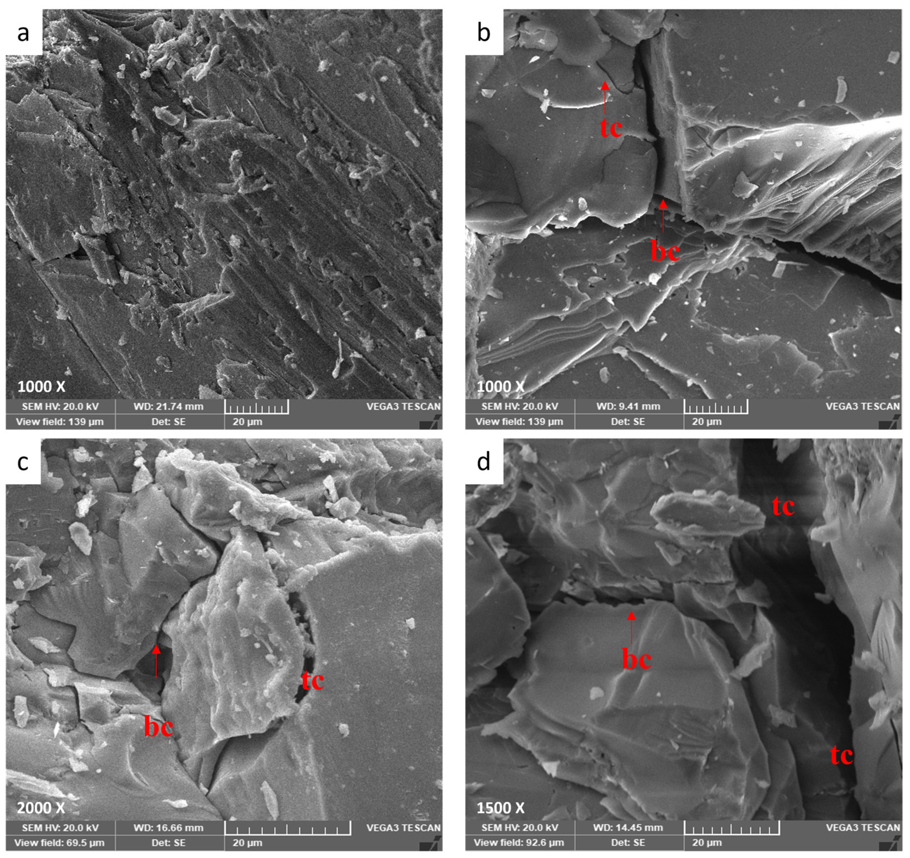 Materials 17 01305 g007