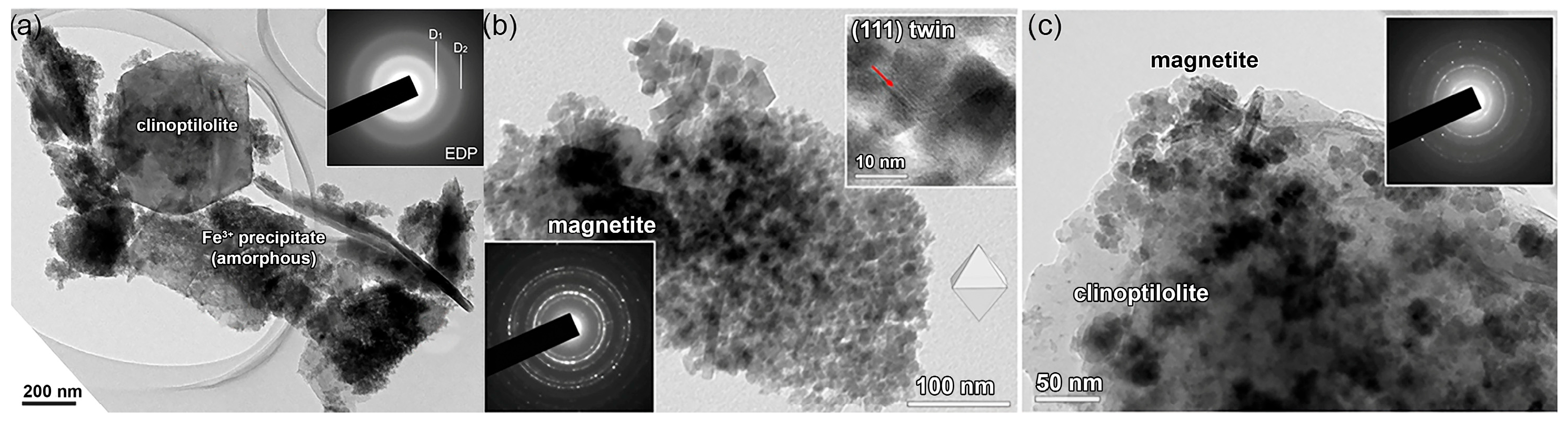 Materials 17 01306 g001