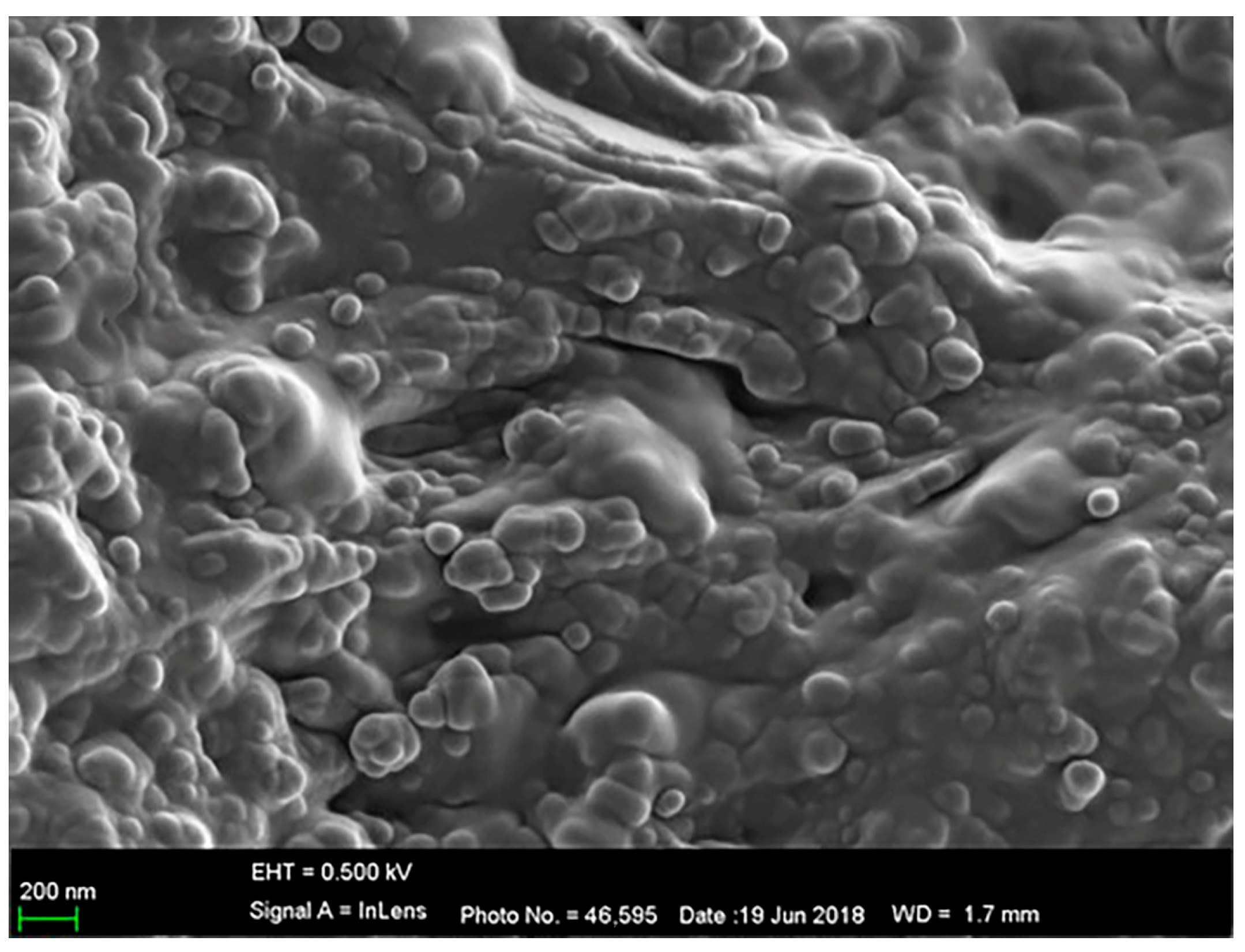 Materials 17 01306 g005