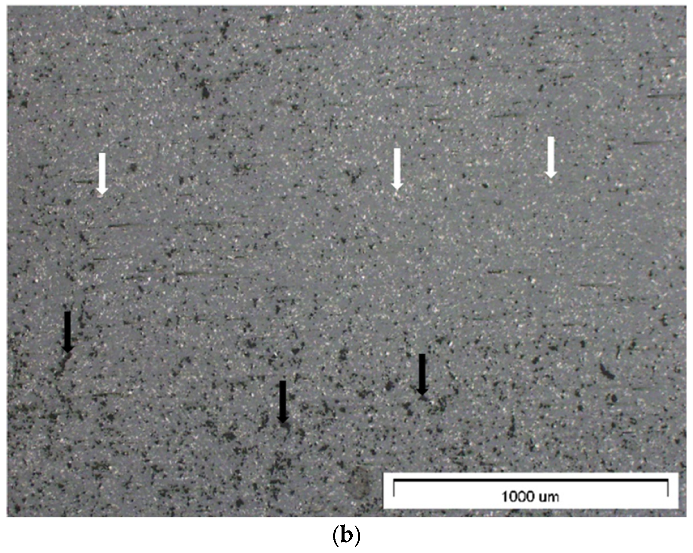 Materials 17 01308 g003b