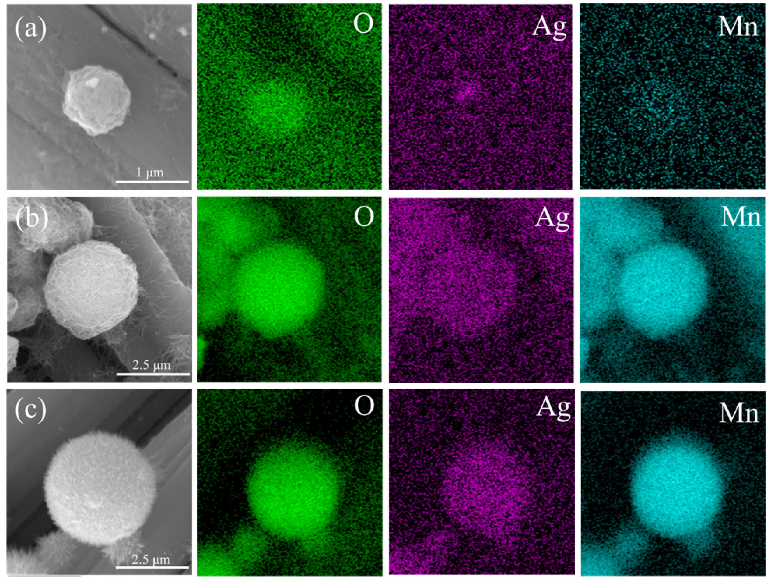 Materials 17 01312 g004