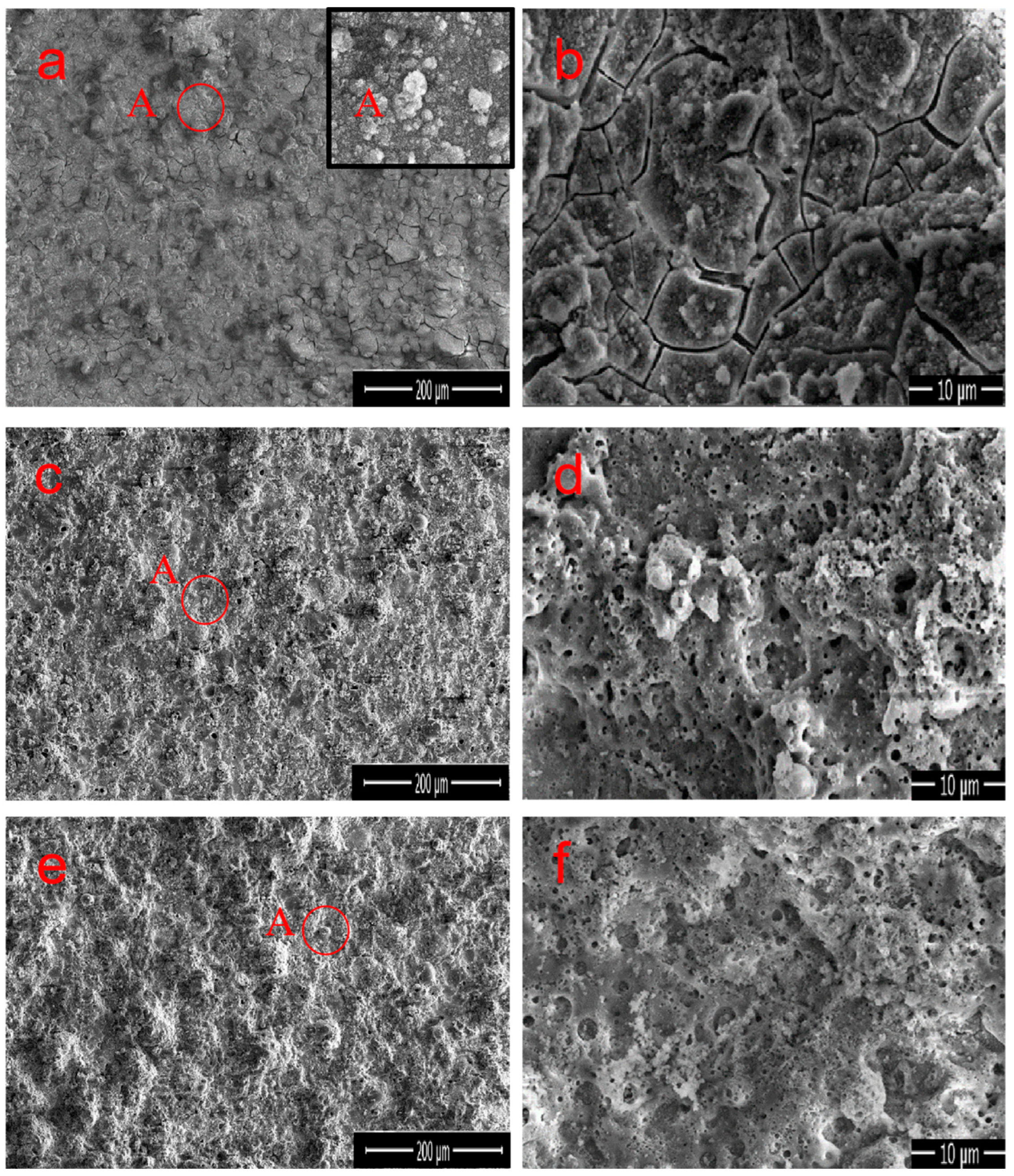 Materials 17 01316 g003