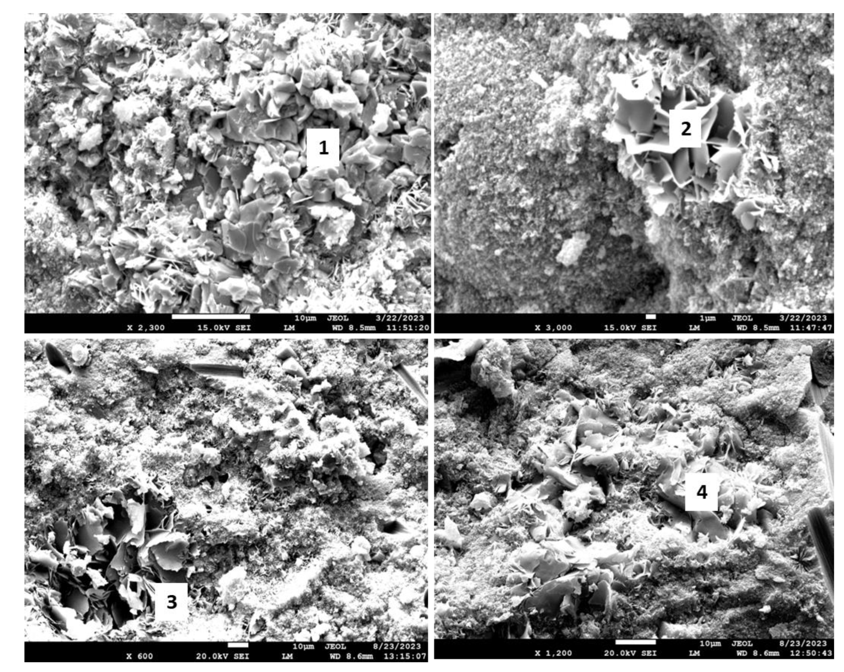 Materials 17 01320 g023