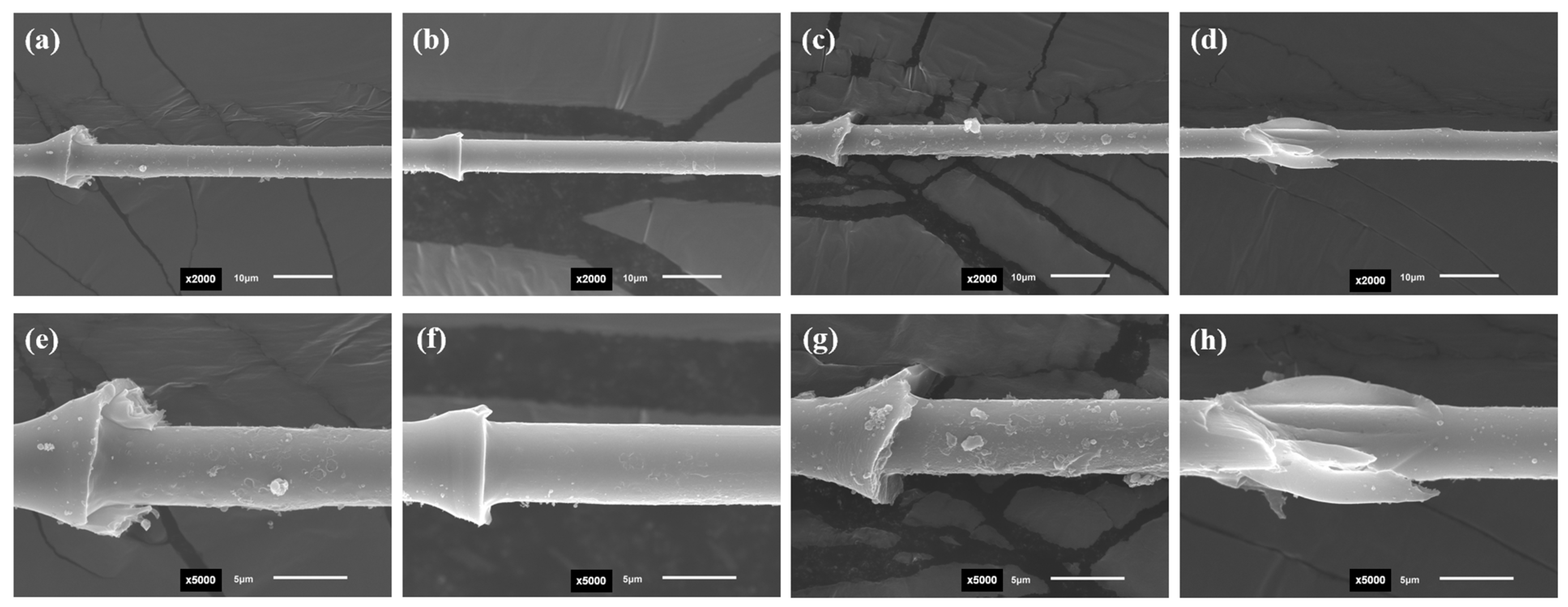 Materials 17 01323 g008