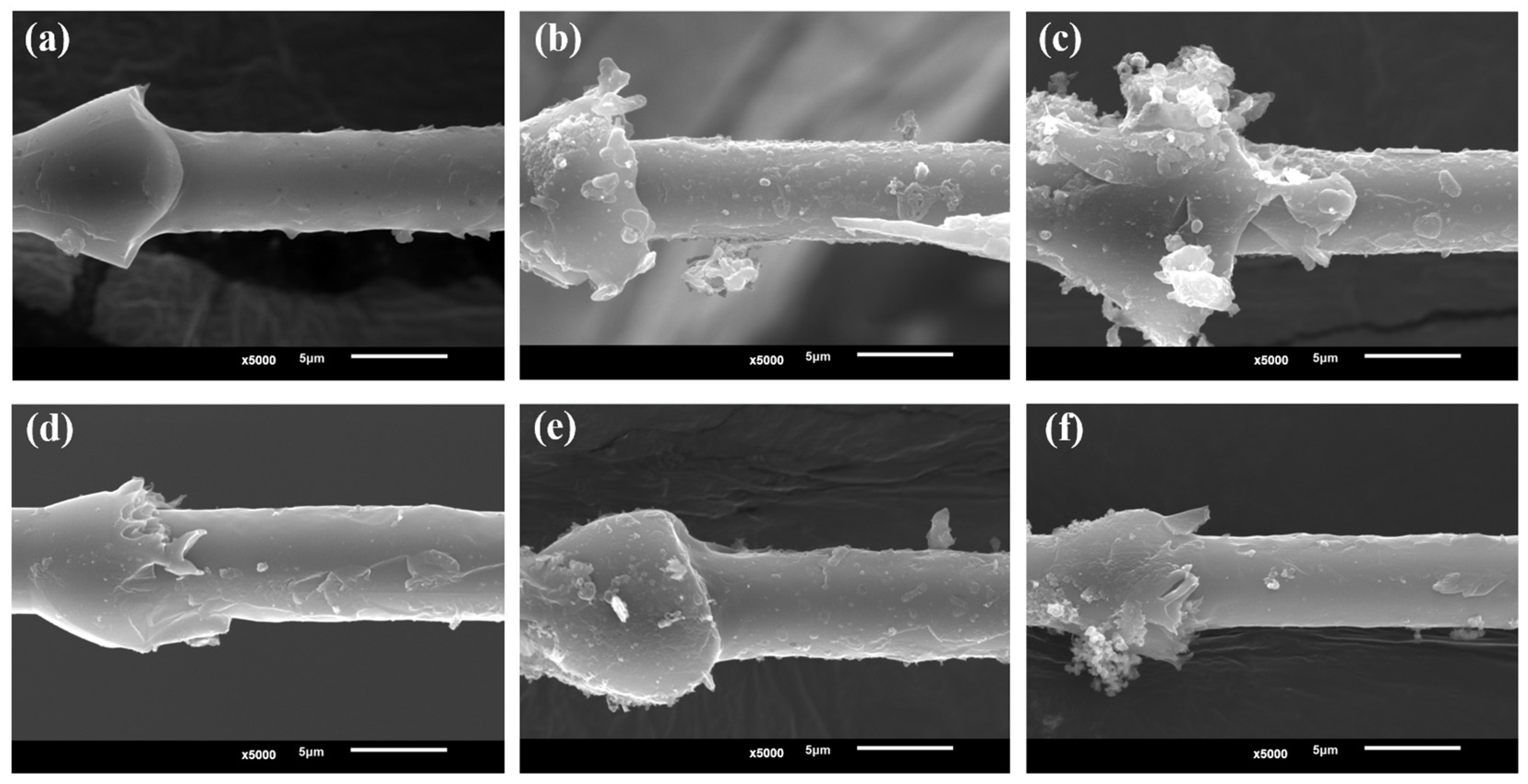 Materials 17 01323 g010