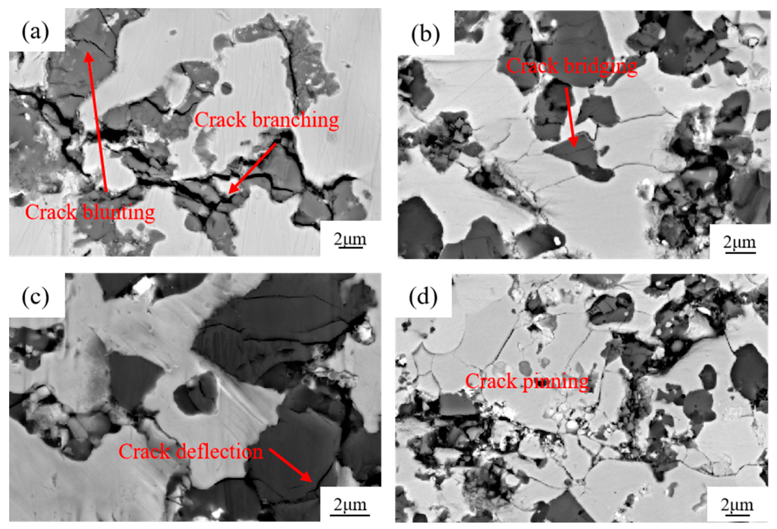 Materials 17 01325 g013