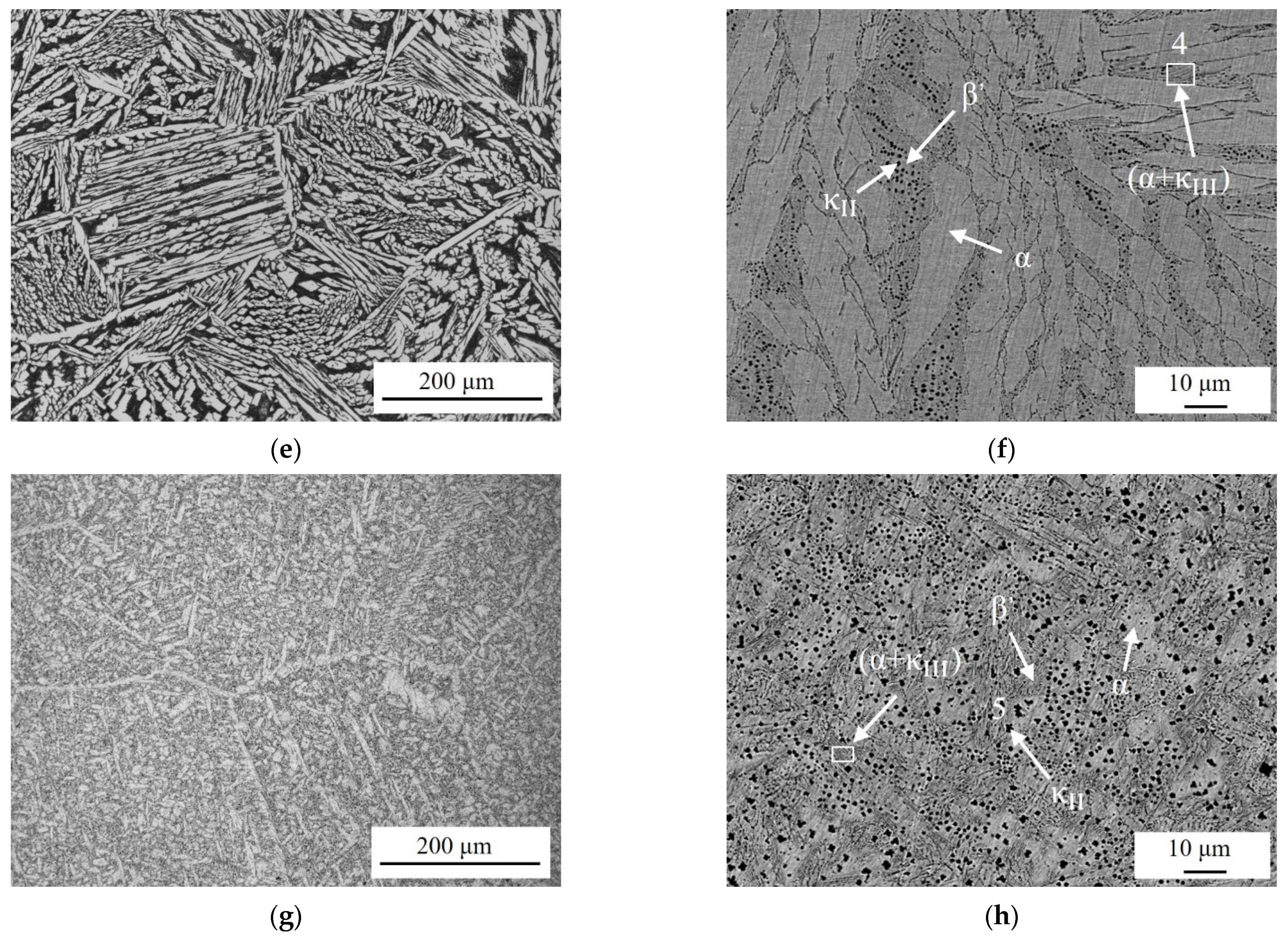 Materials 17 01330 g001b