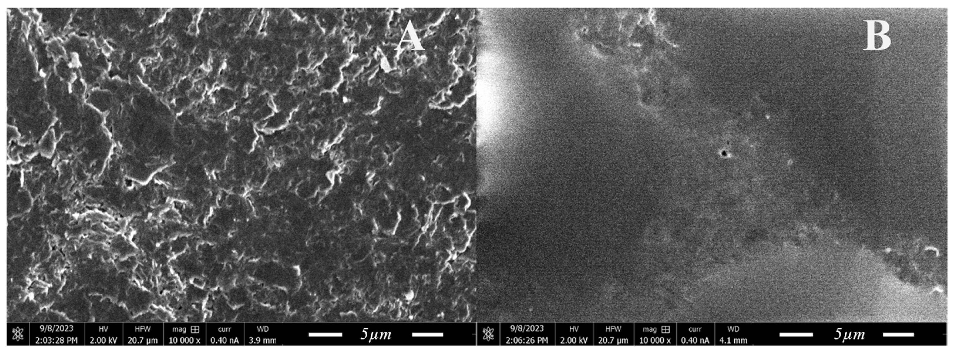 Materials 17 01339 g003