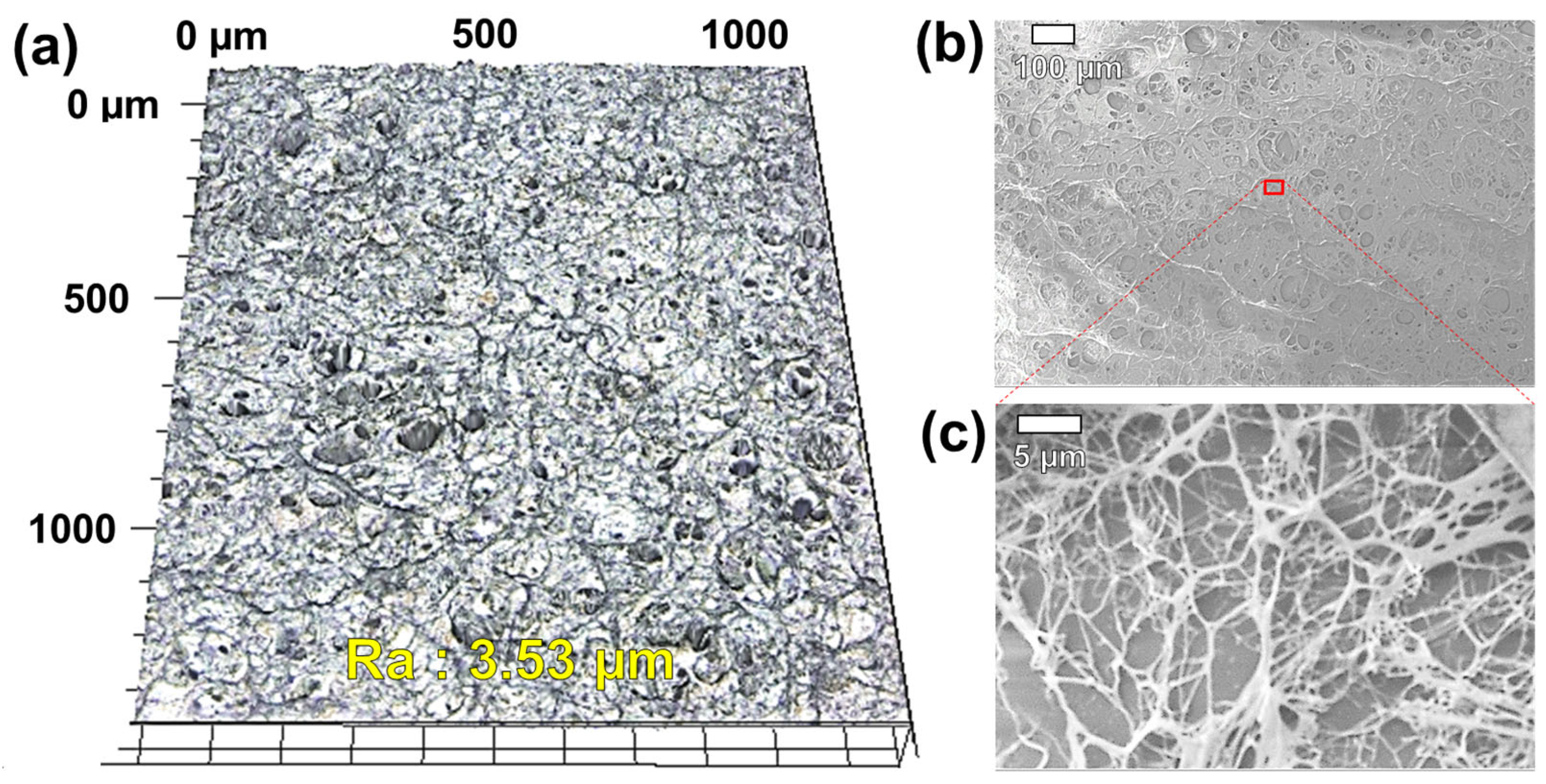 Materials 17 01341 g003