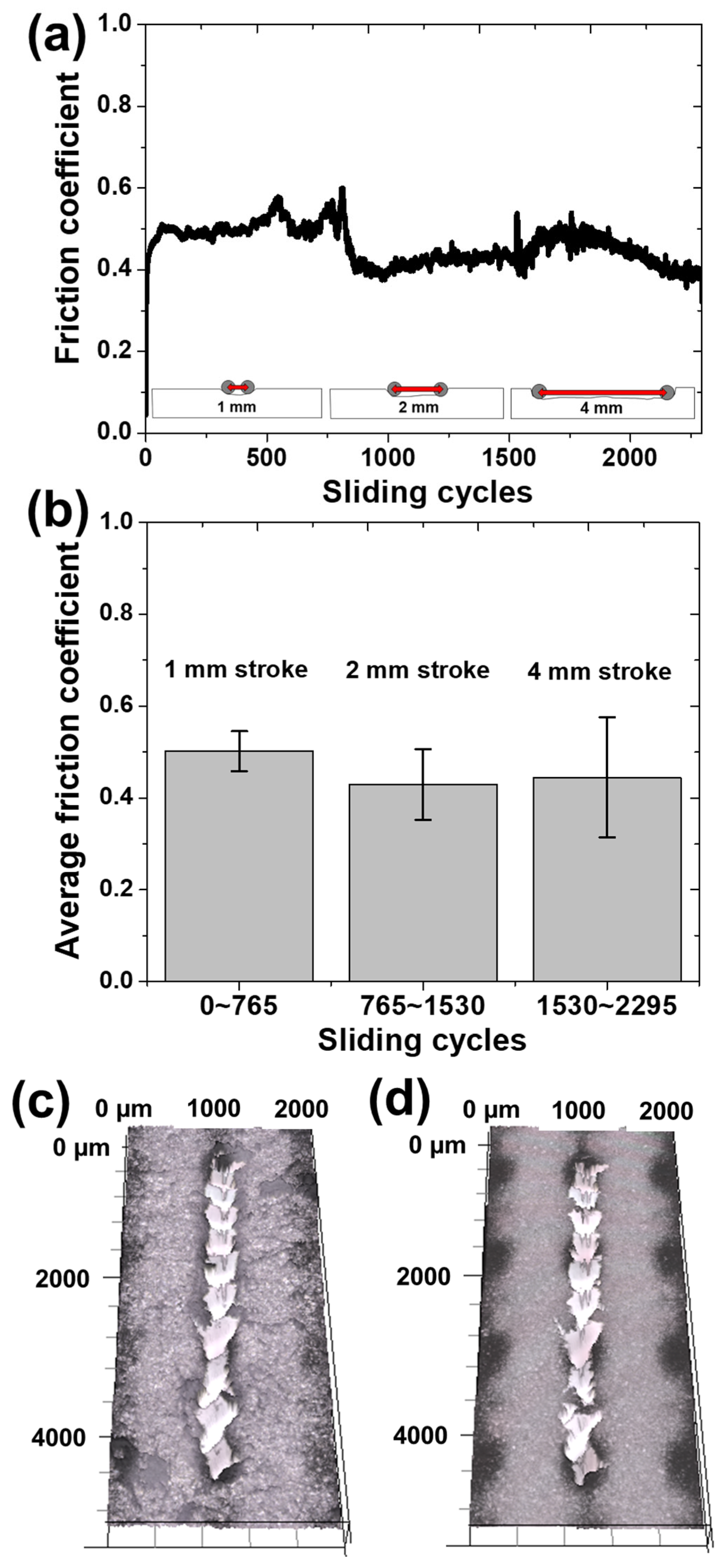 Materials 17 01341 g006