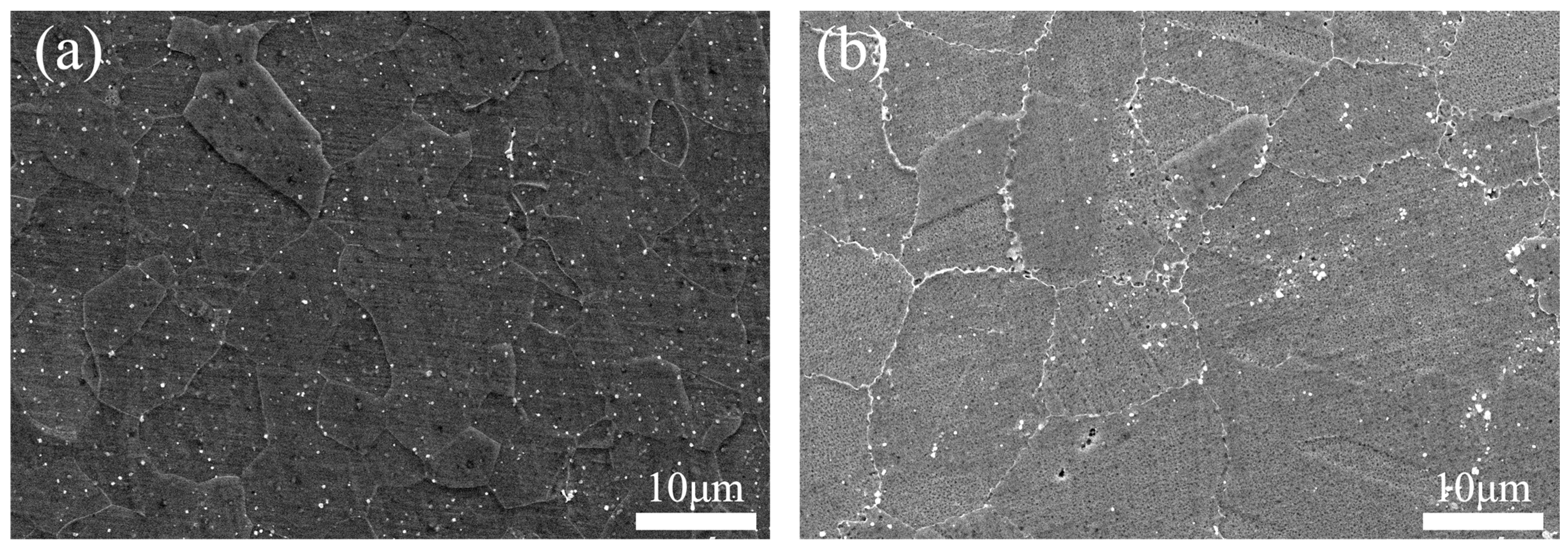 Materials 17 01342 g008