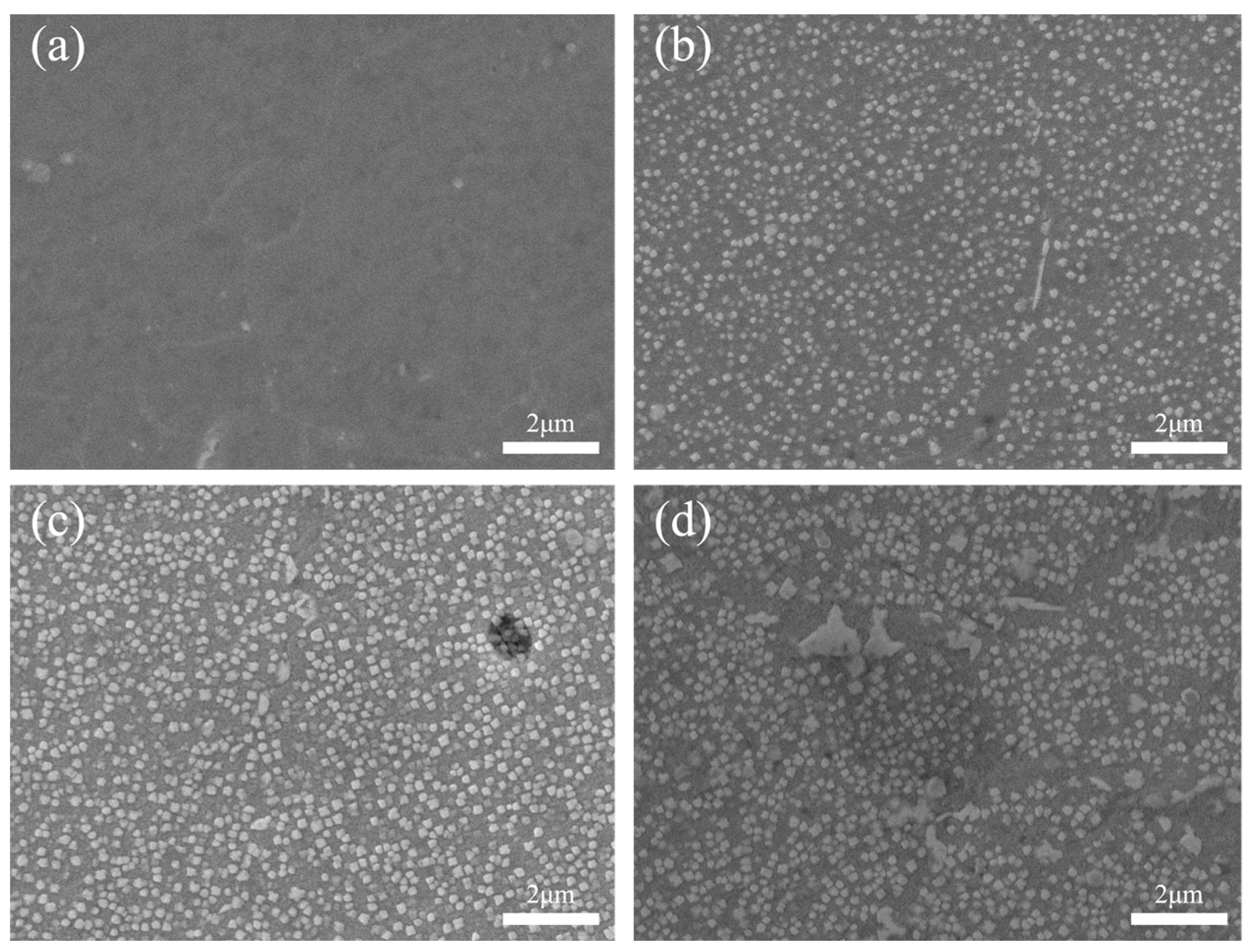 Materials 17 01342 g010