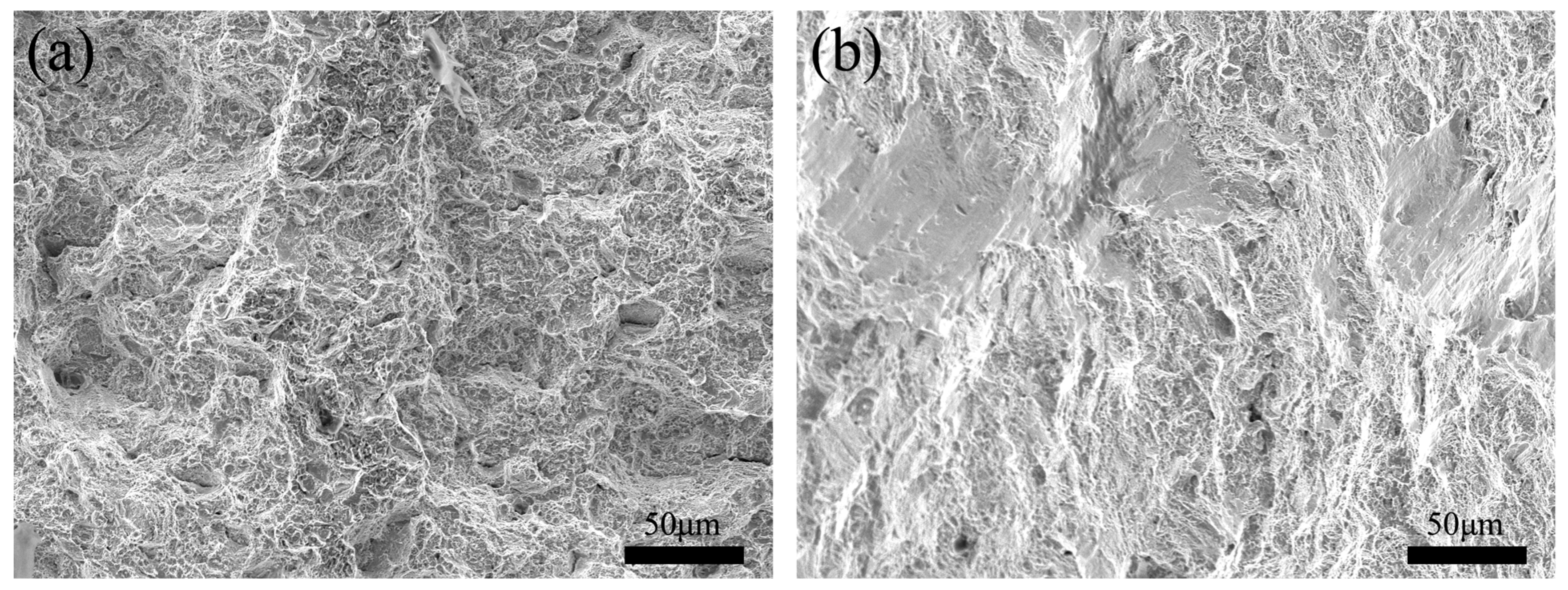 Materials 17 01342 g012