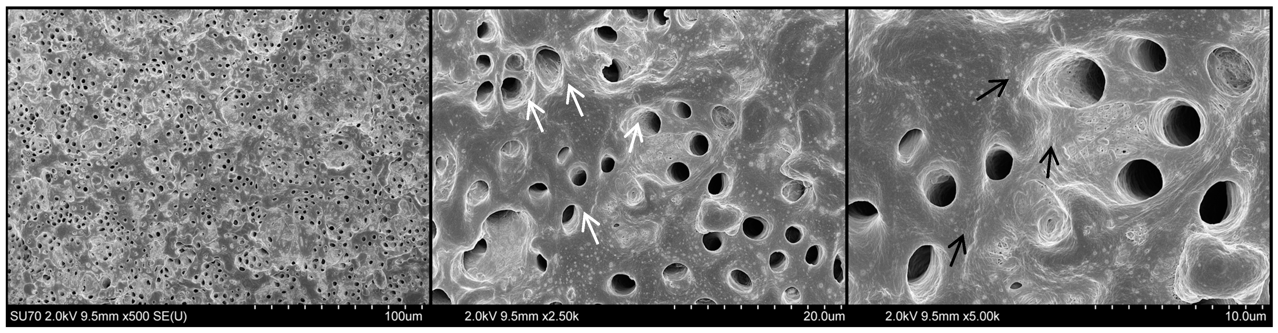 Materials 17 01351 g003