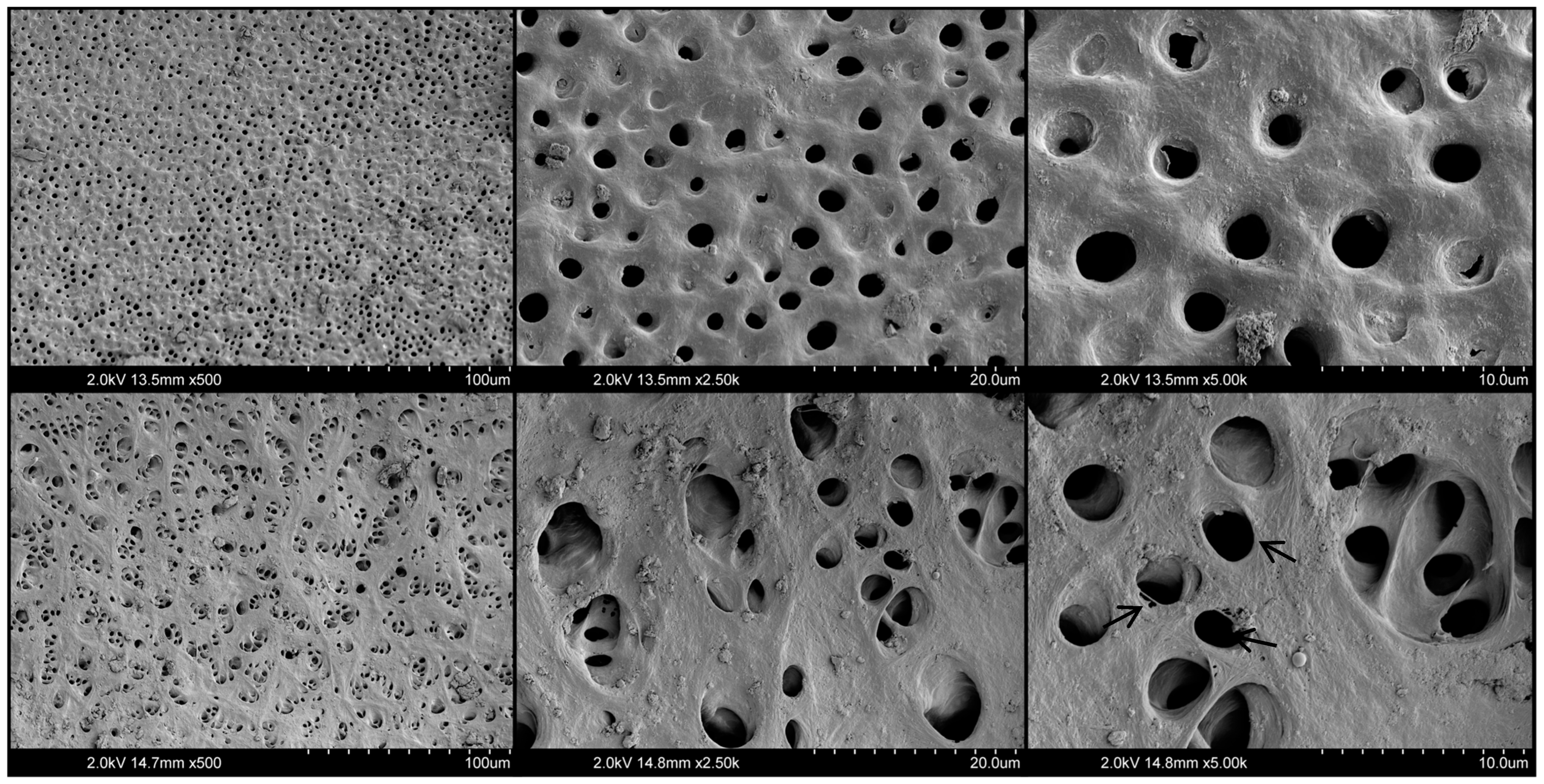 Materials 17 01351 g004