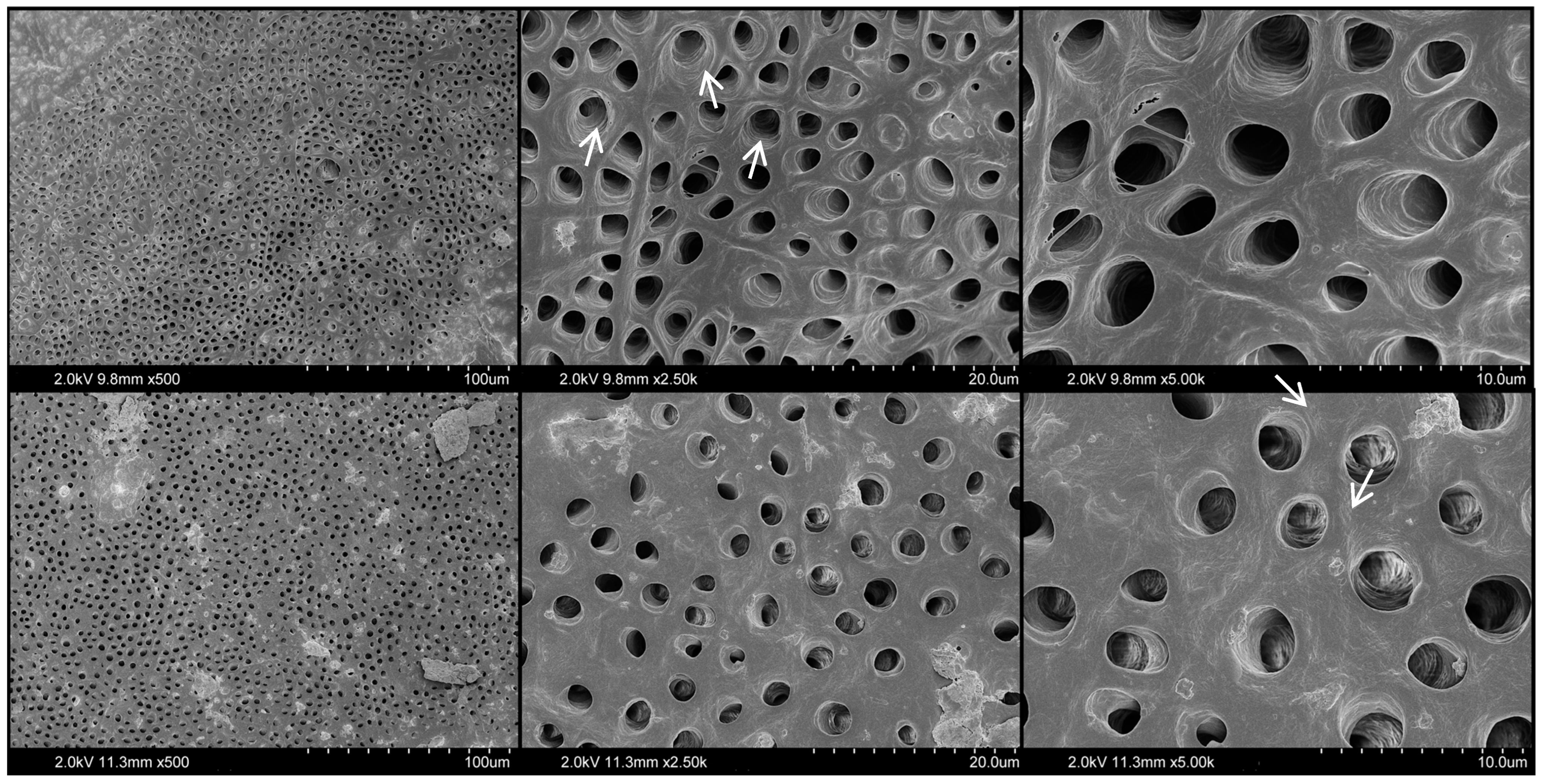 Materials 17 01351 g005