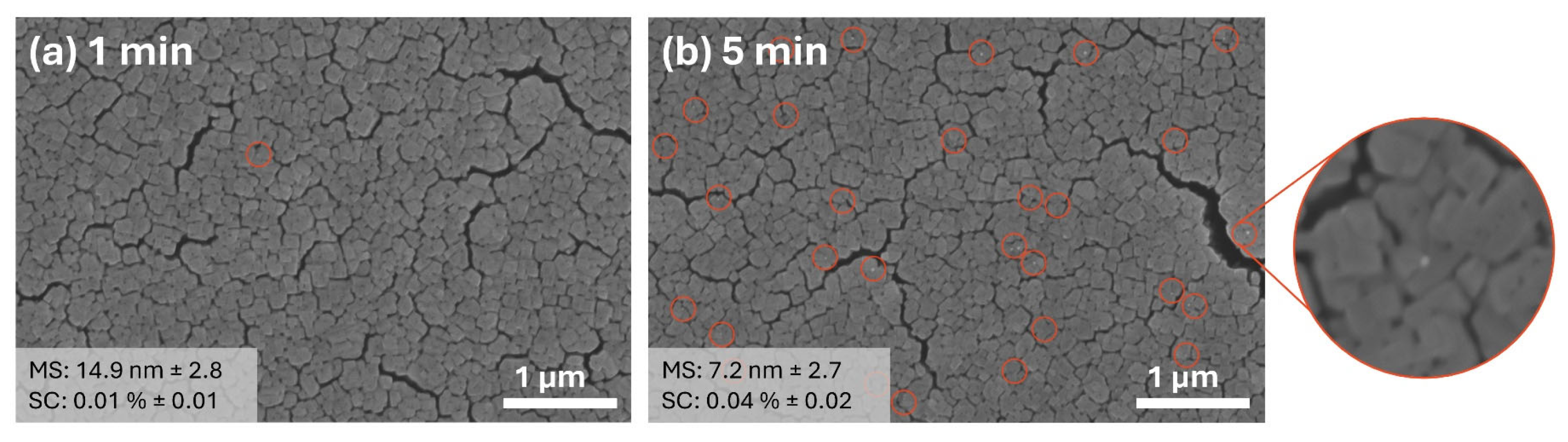 Materials 17 01354 g009