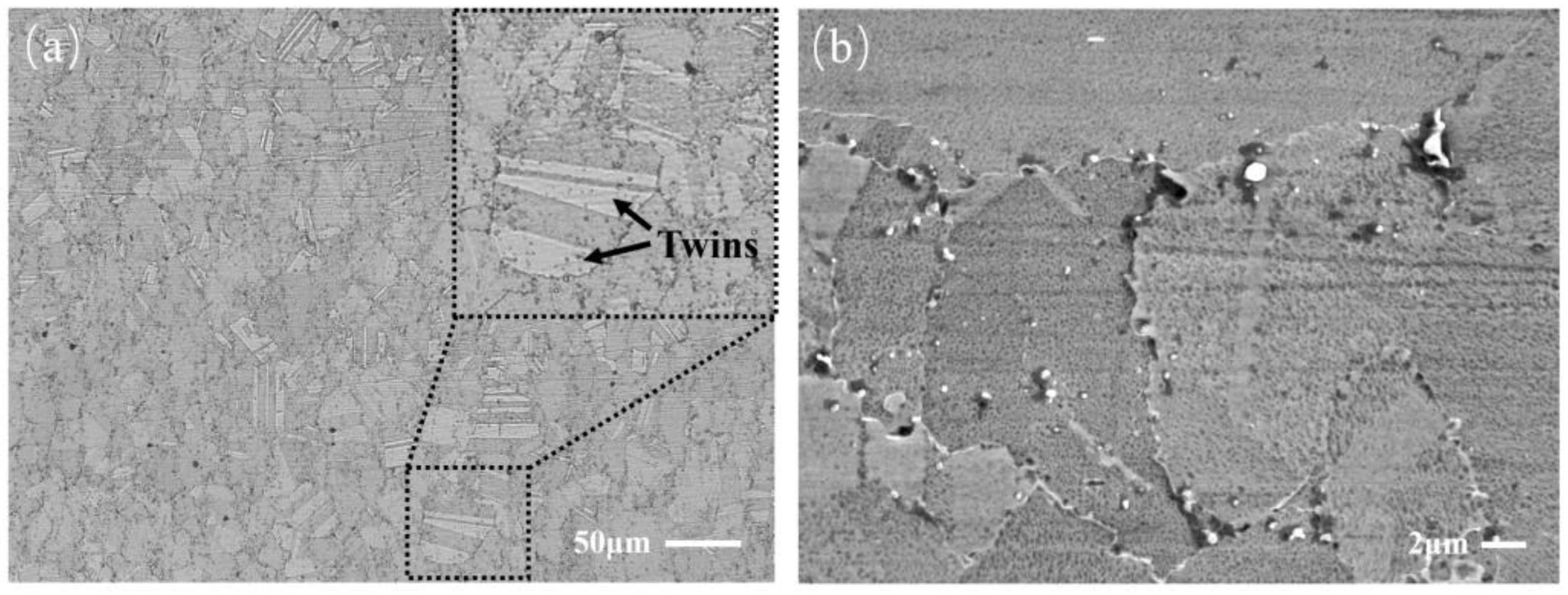 Materials 17 01356 g001