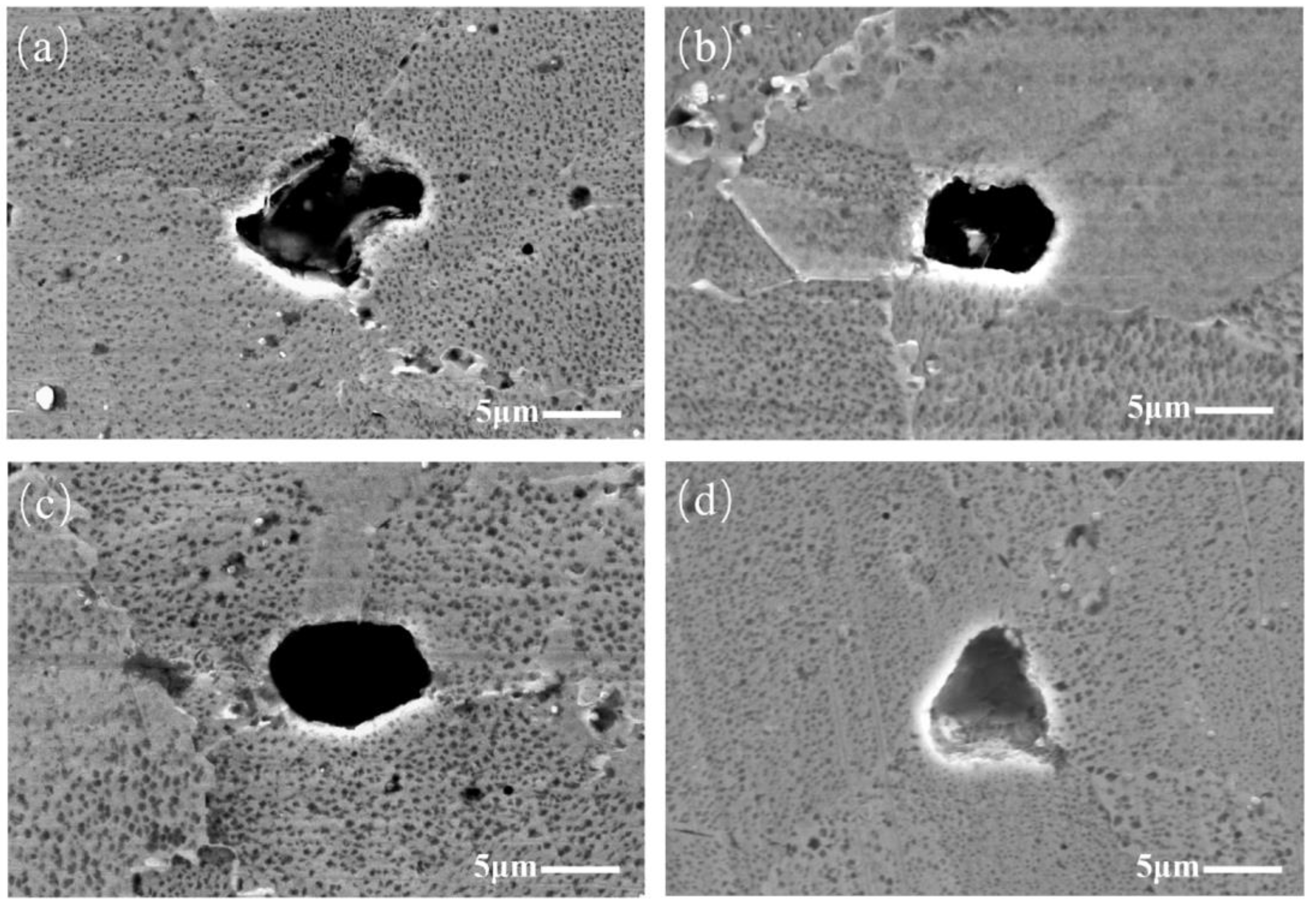 Materials 17 01356 g004