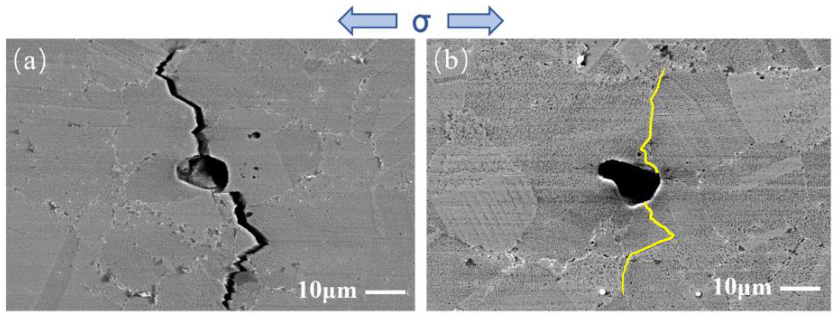 Materials 17 01356 g007