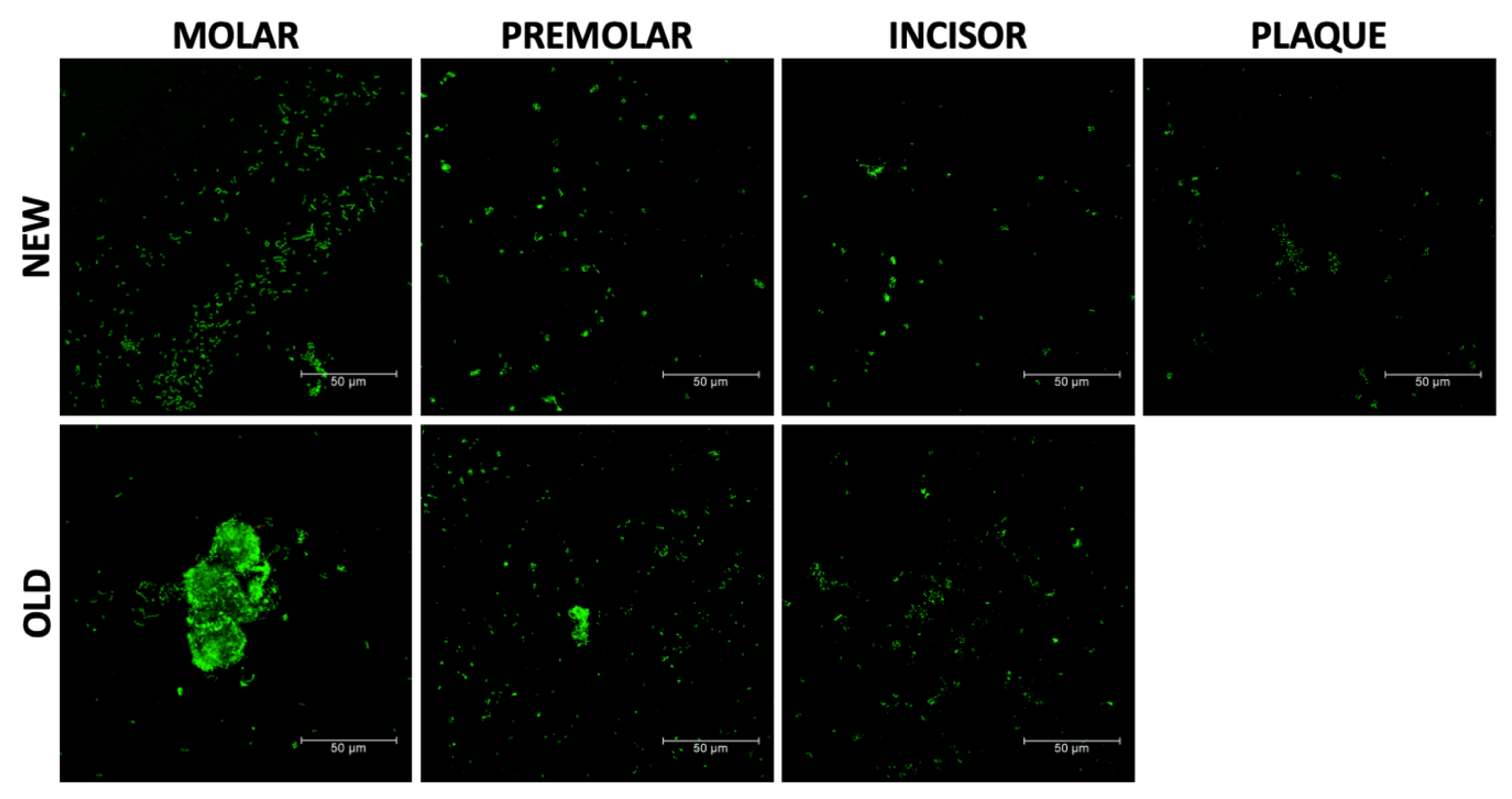 Materials 17 01360 g007