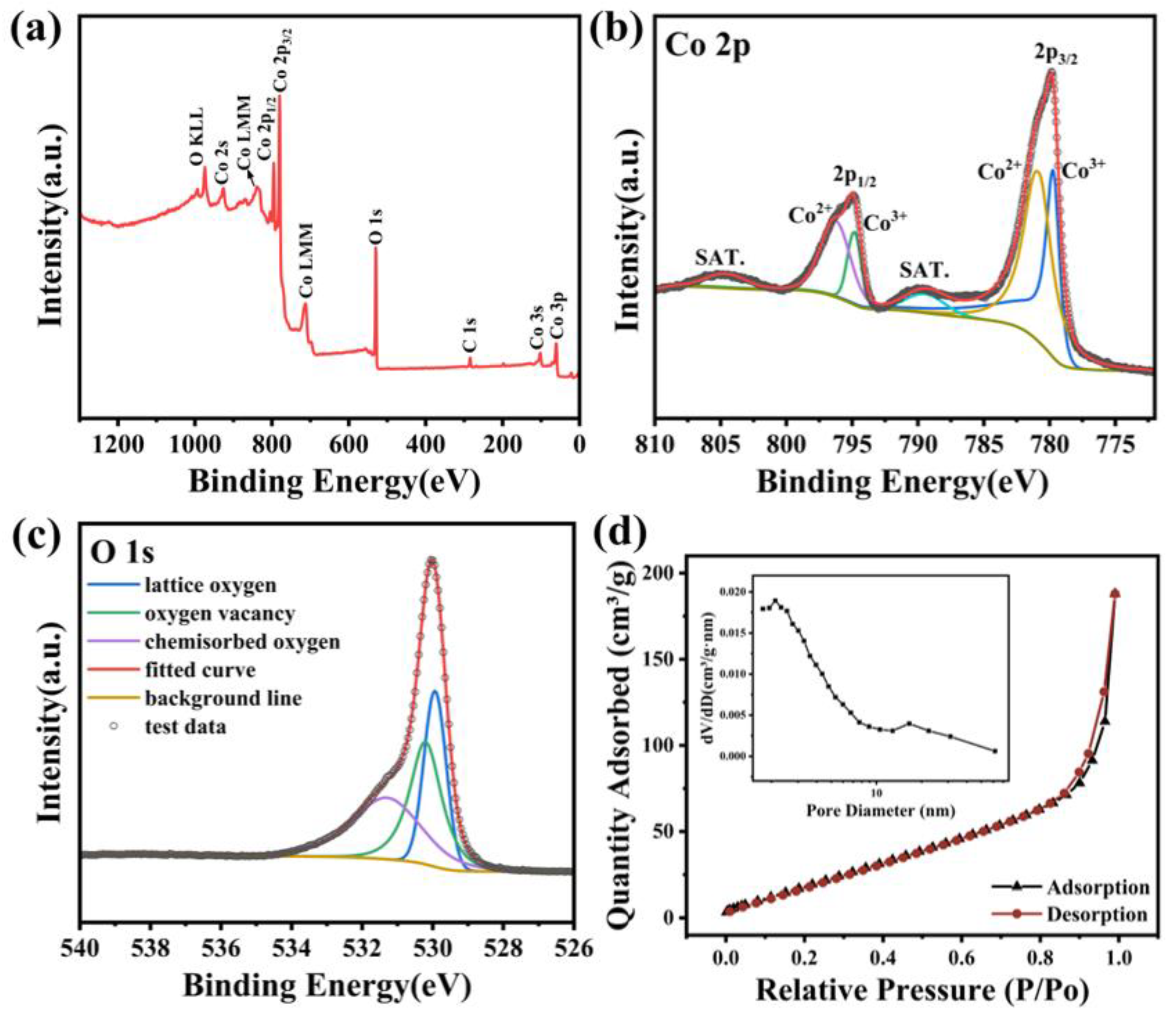 Materials 17 01364 g004