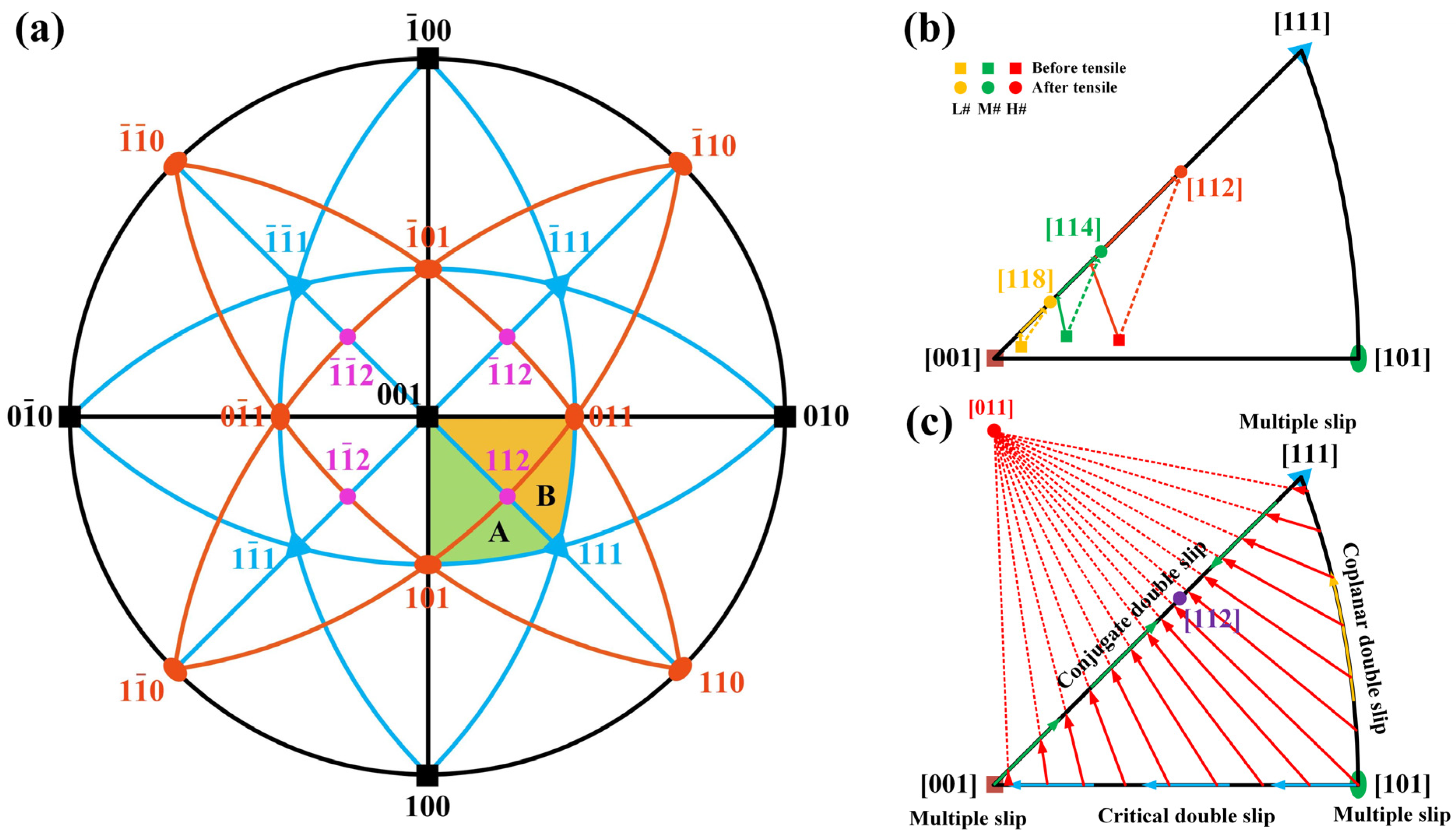 Materials 17 01368 g010