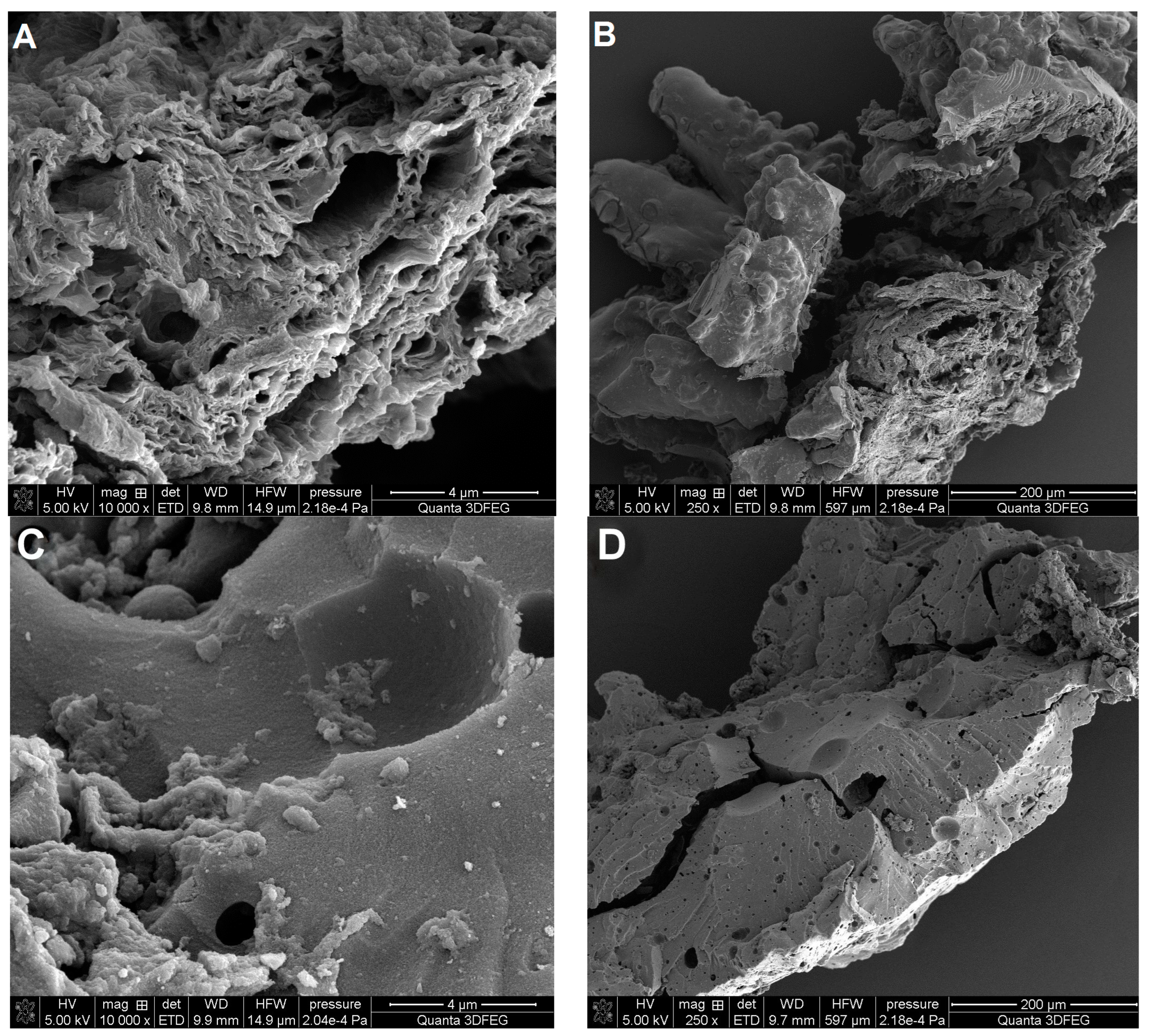 Materials 17 01374 g010