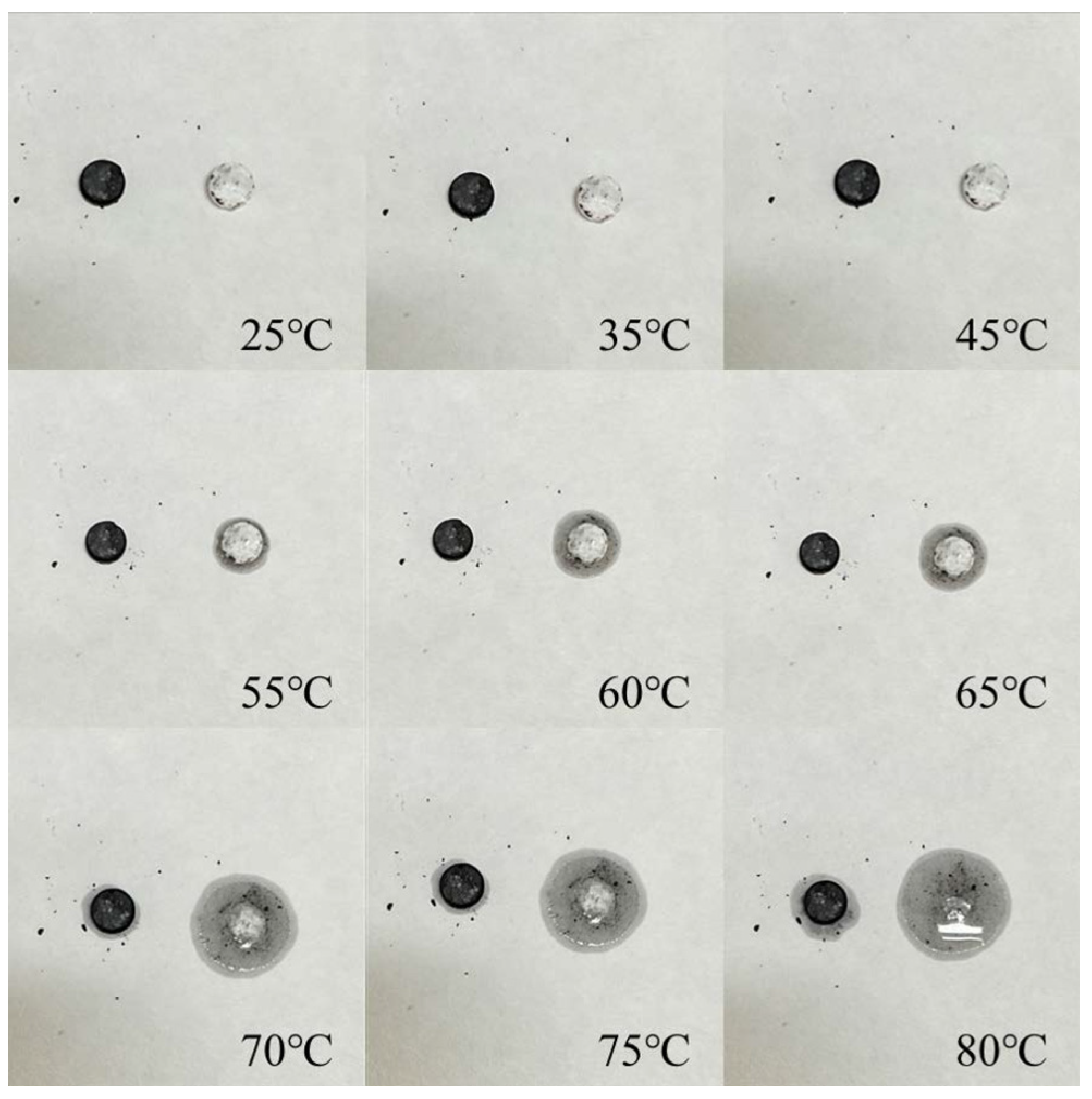 Materials 17 01379 g002