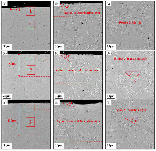 Investigating the Dynamic Mechanical Properties and Strengthening