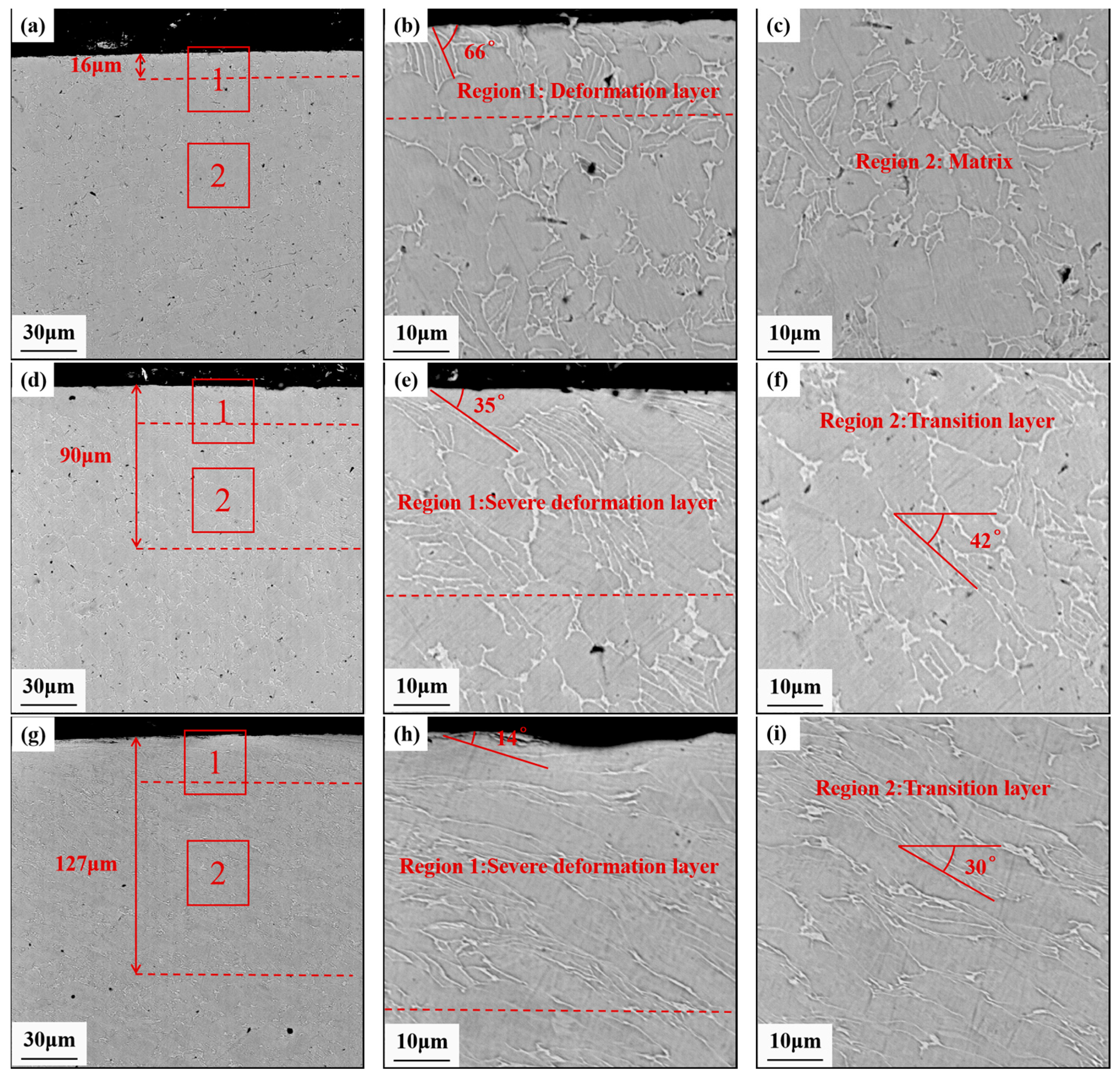 Materials 17 01382 g017