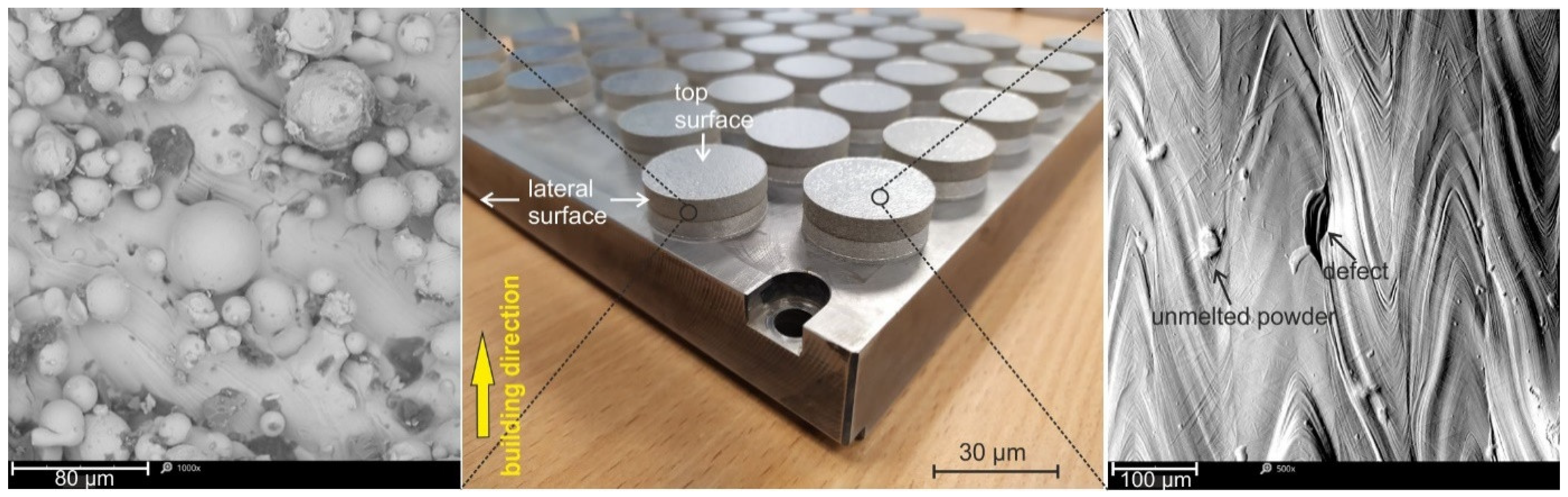 Materials 17 01383 g001