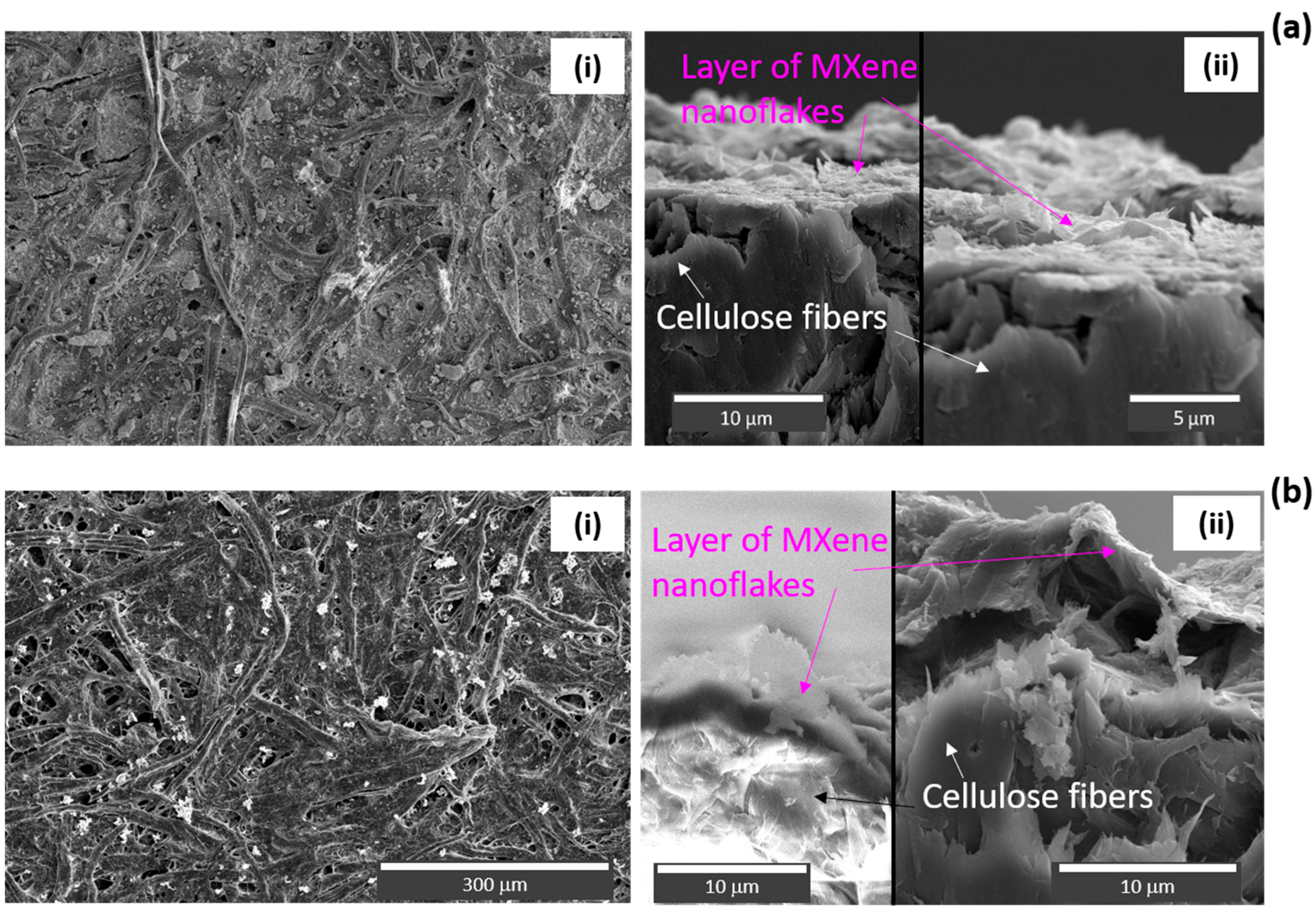 Materials 17 01385 g005