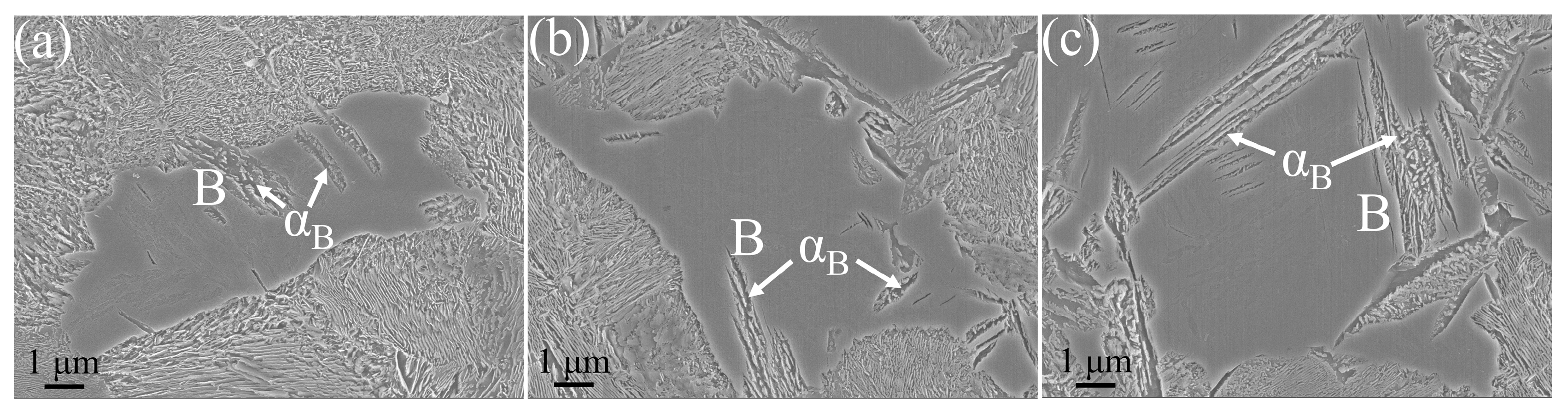 Materials 17 01392 g004