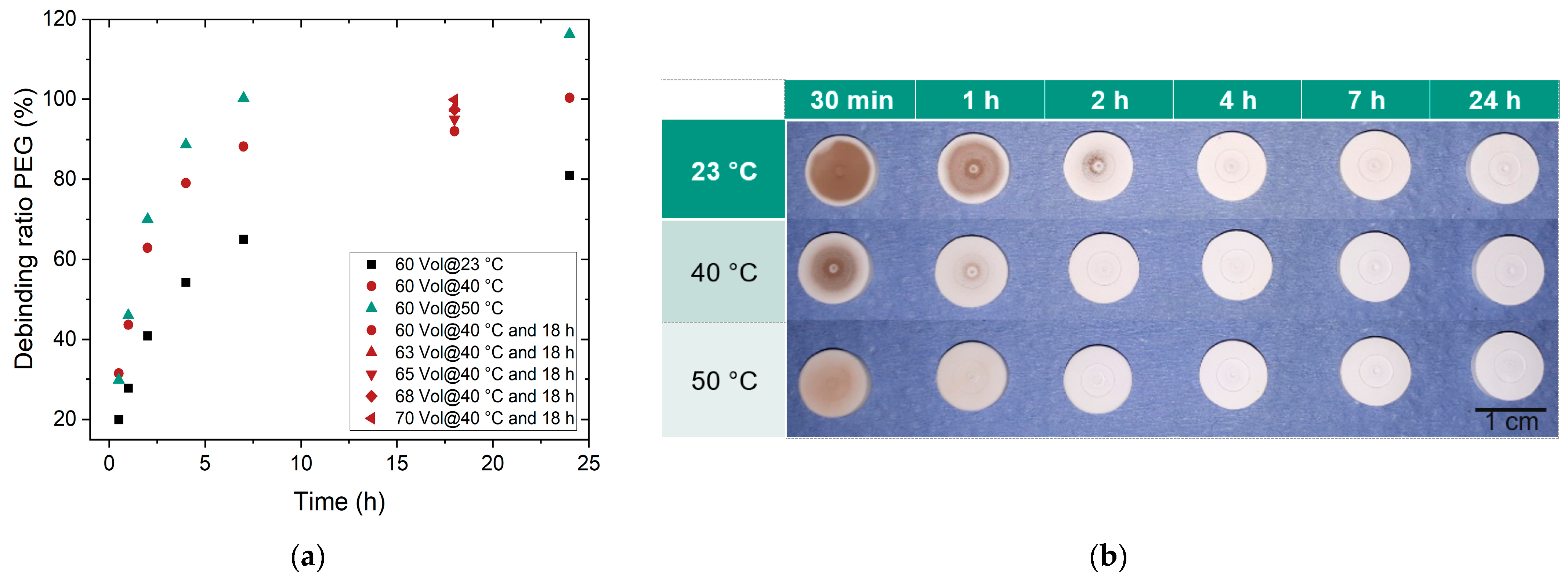 Materials 17 01396 g007